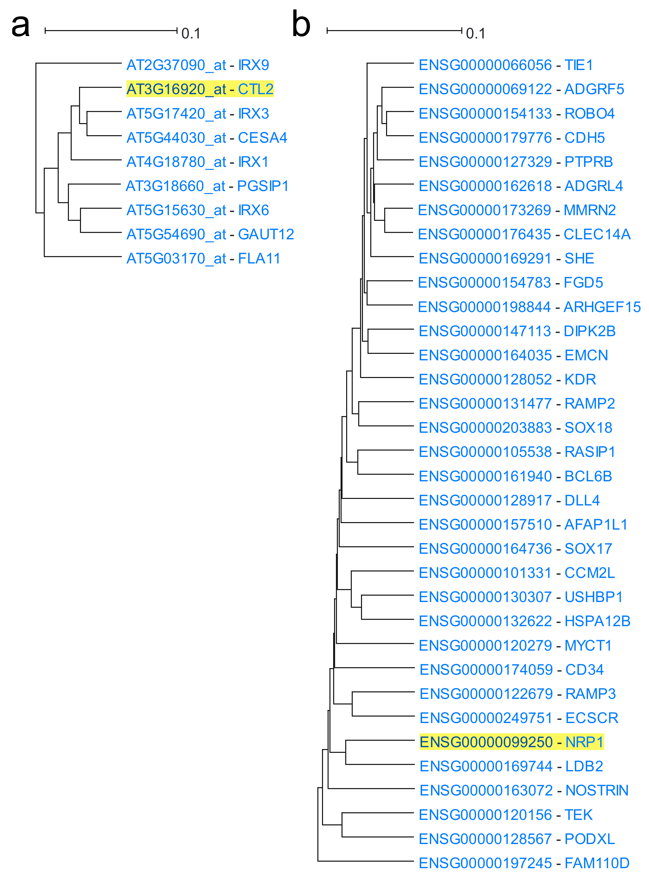 Biology 11 01019 g004