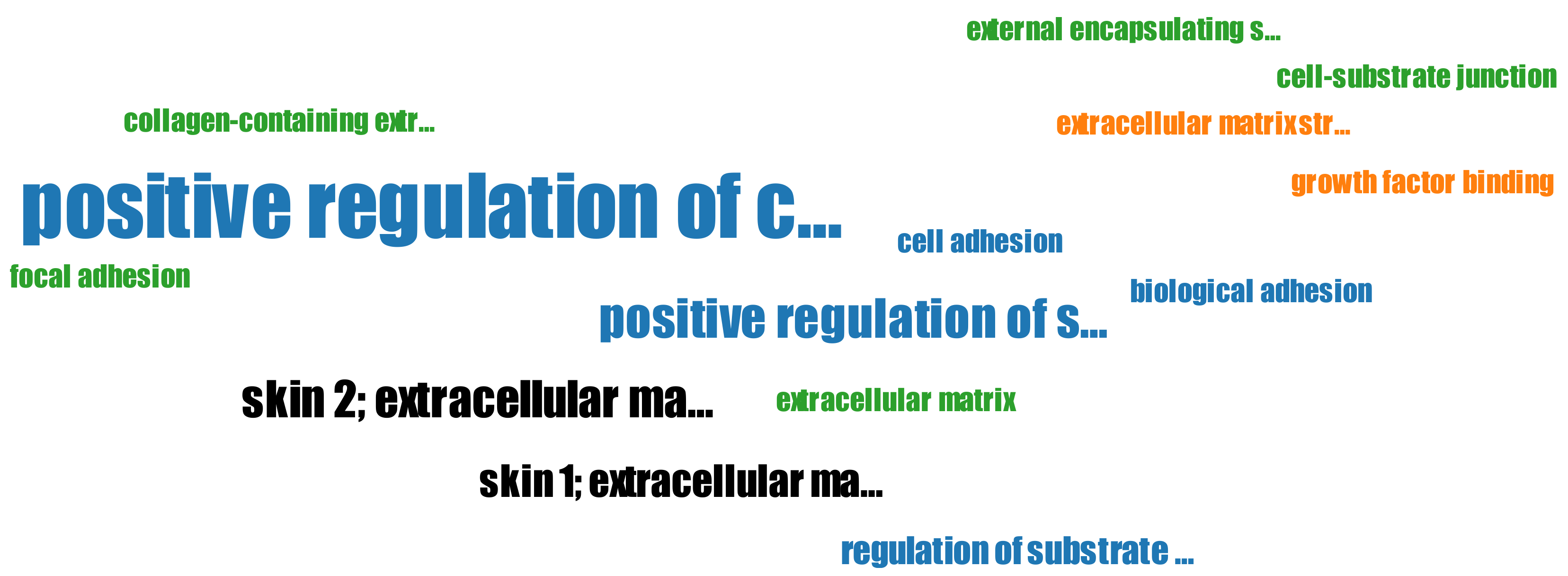 Biology 11 01019 g007
