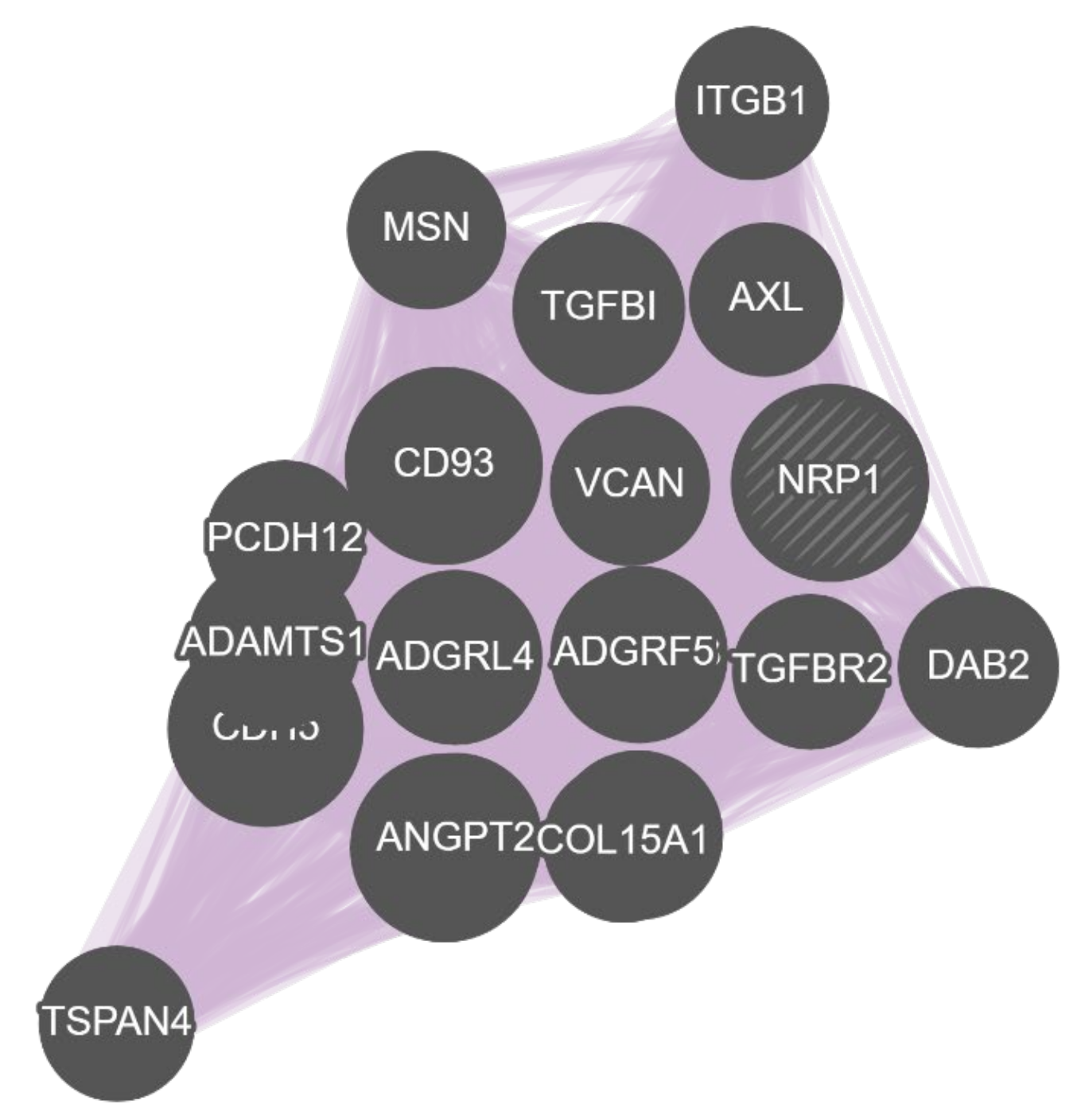 Biology 11 01019 g008