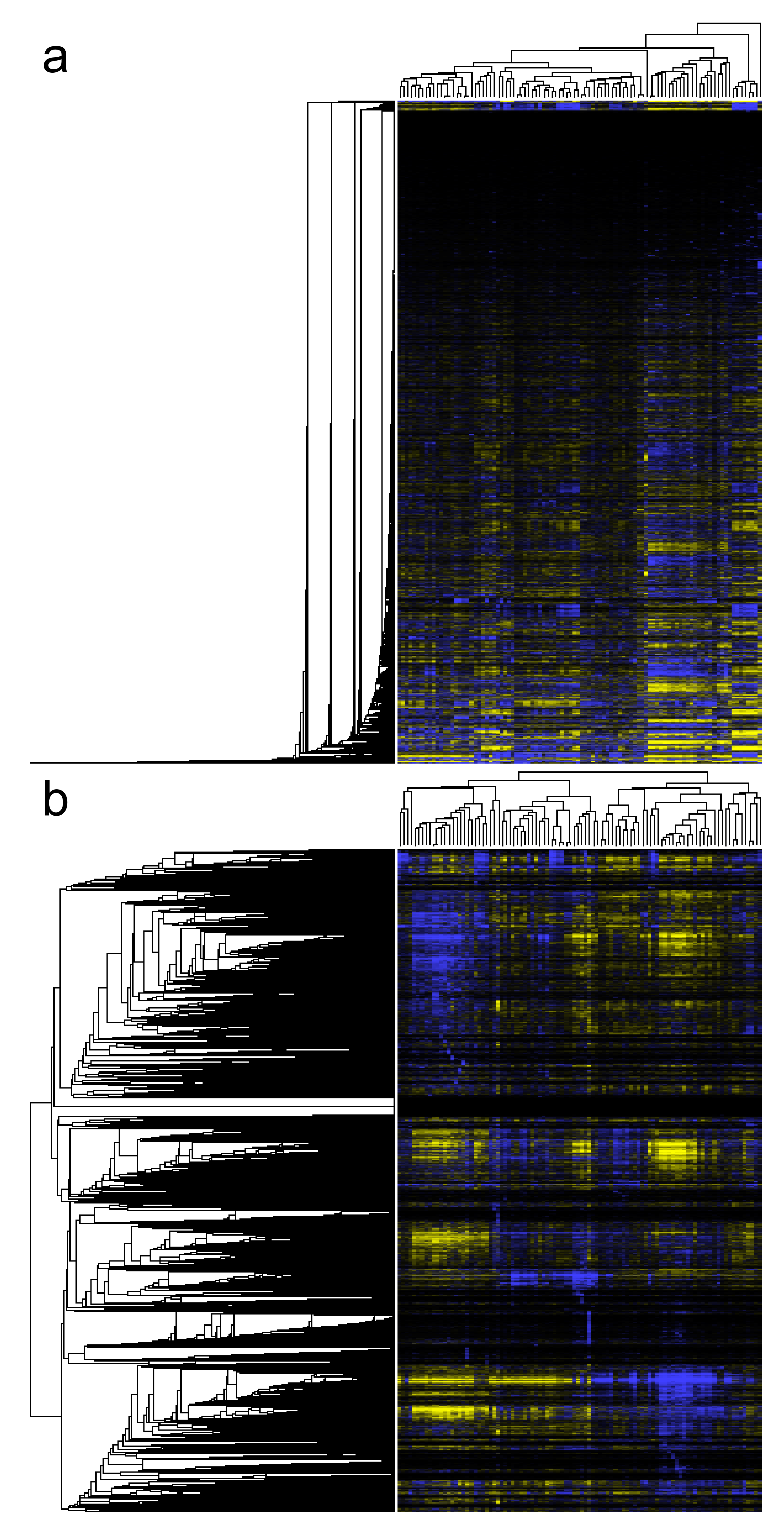 Biology 11 01019 g010