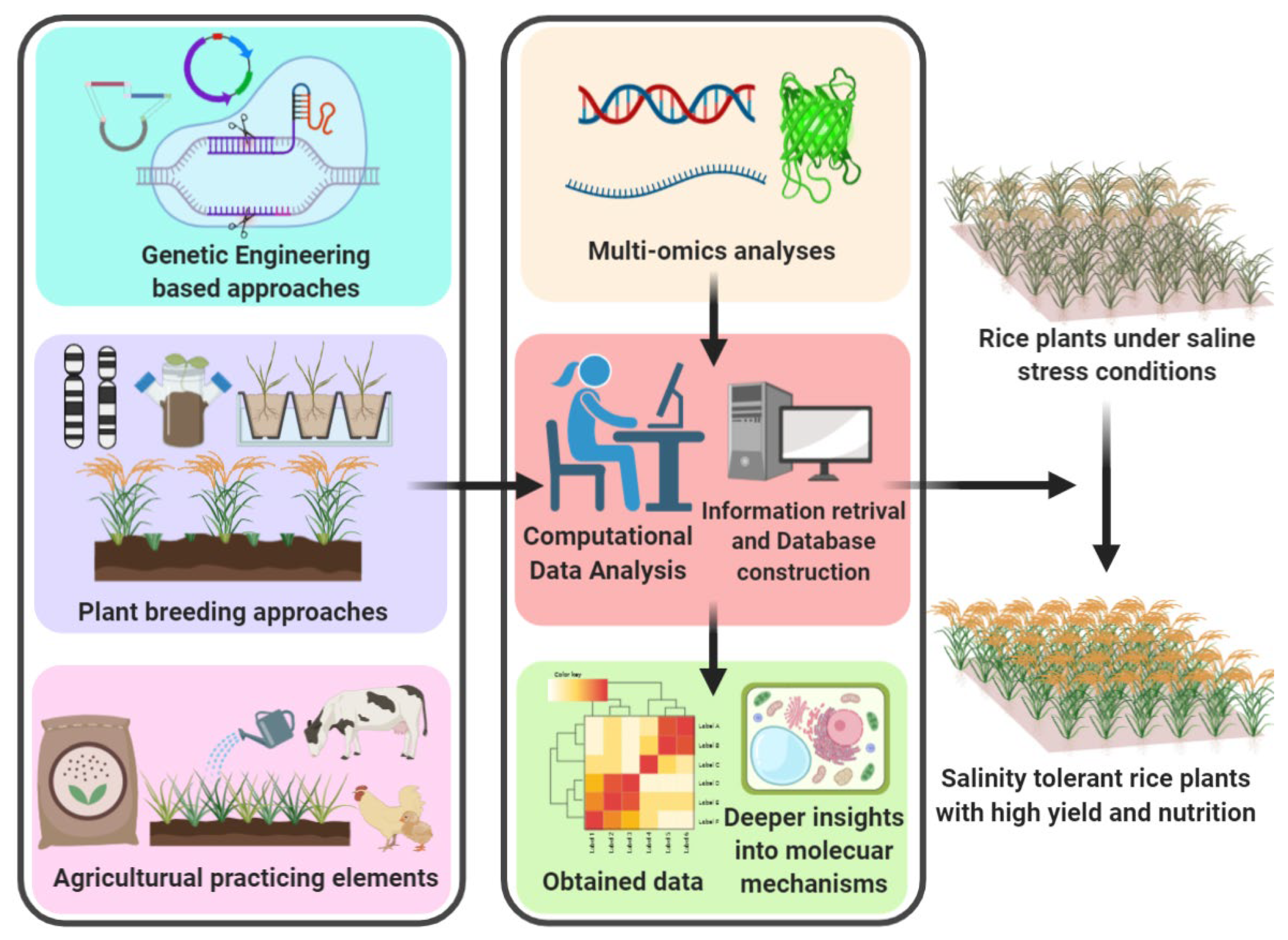 Biology 11 01022 g001