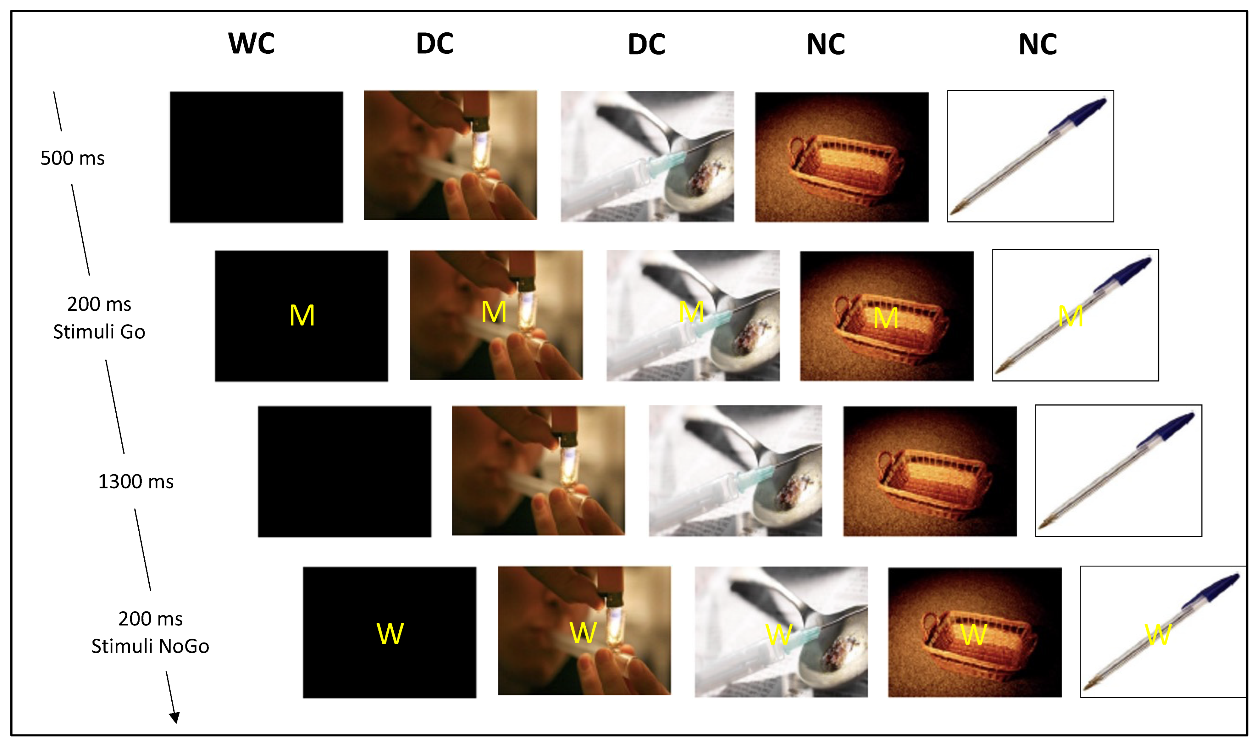 Biology 11 01029 g001