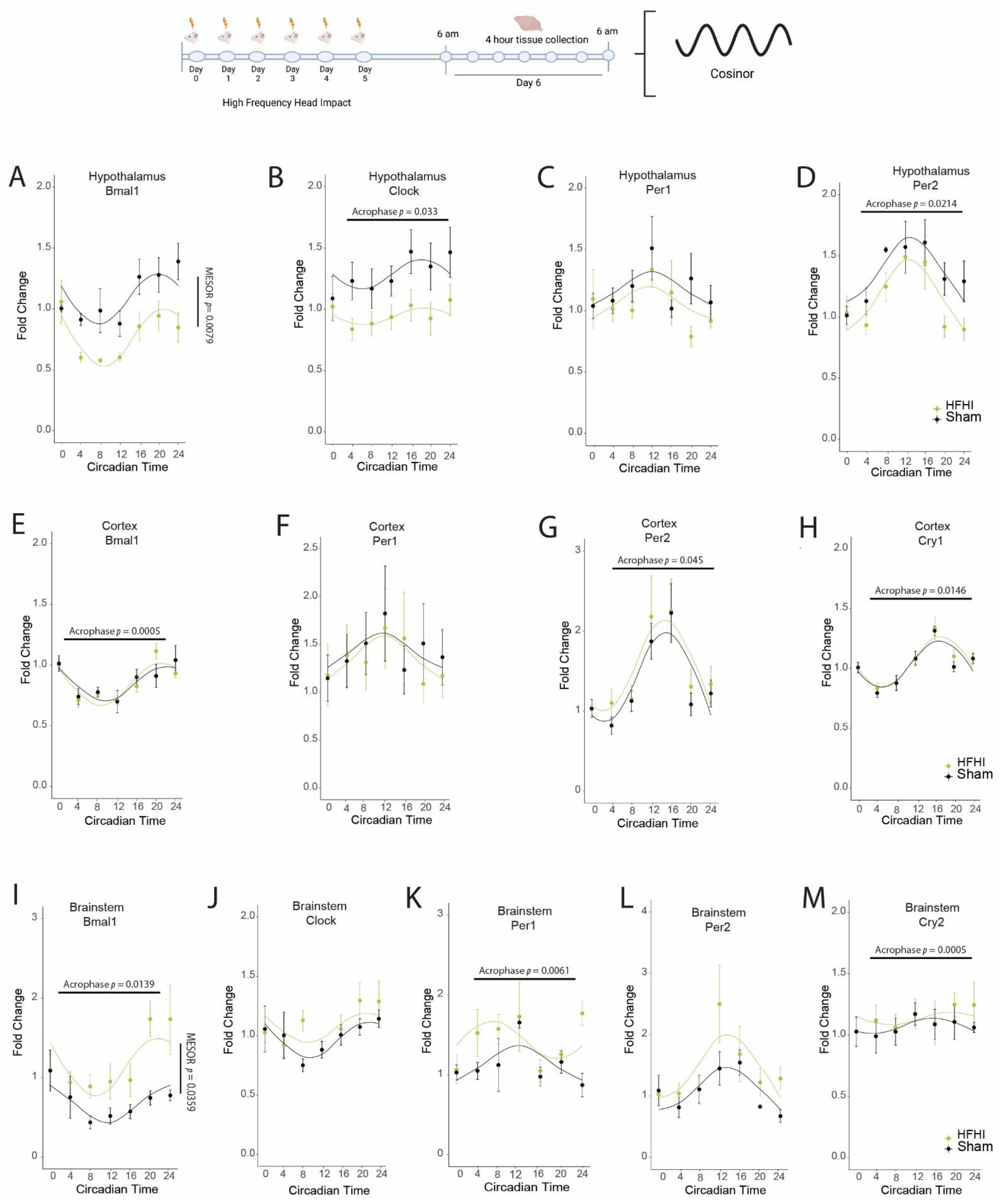 Biology 11 01031 g001
