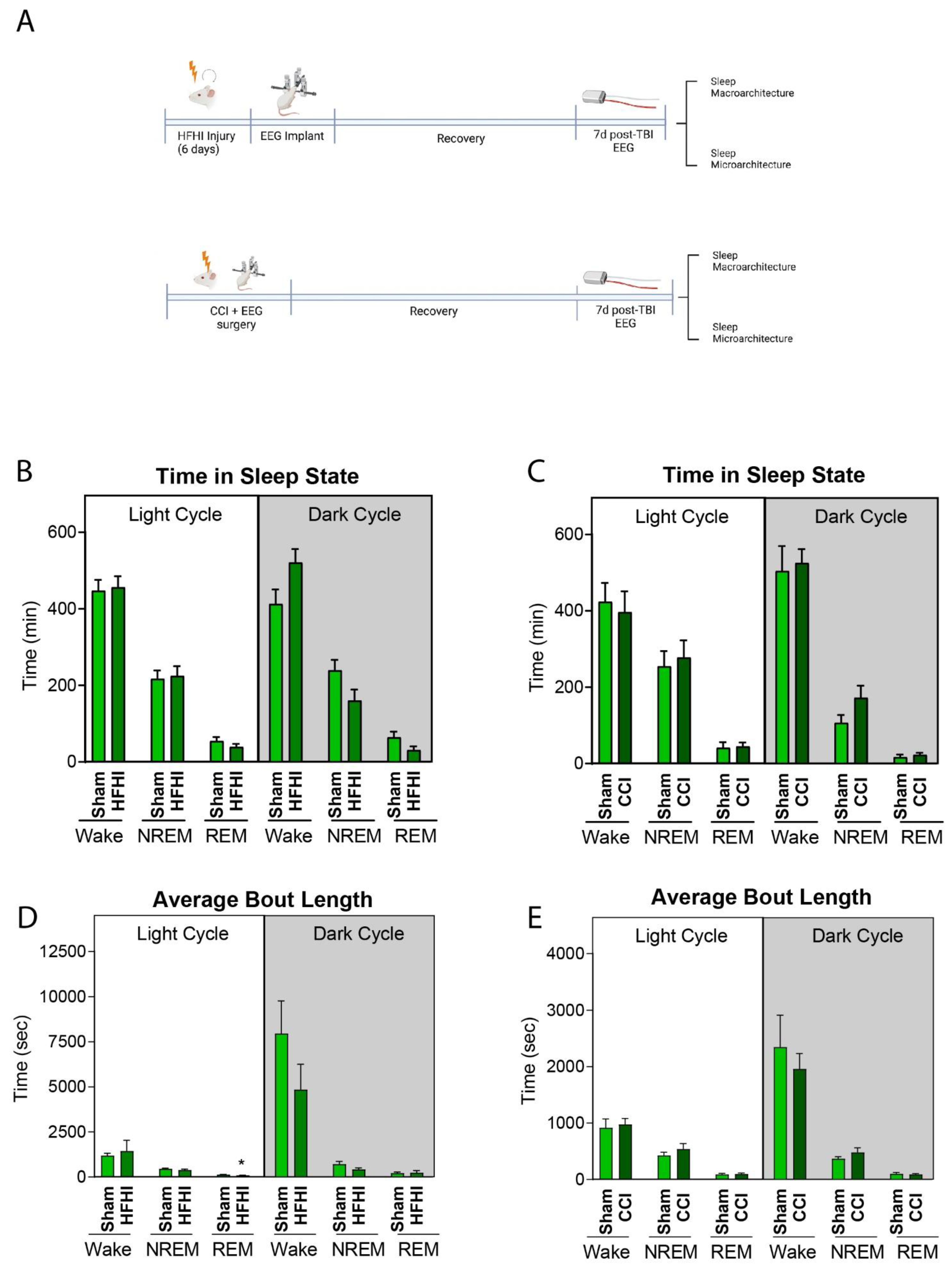 Biology 11 01031 g005