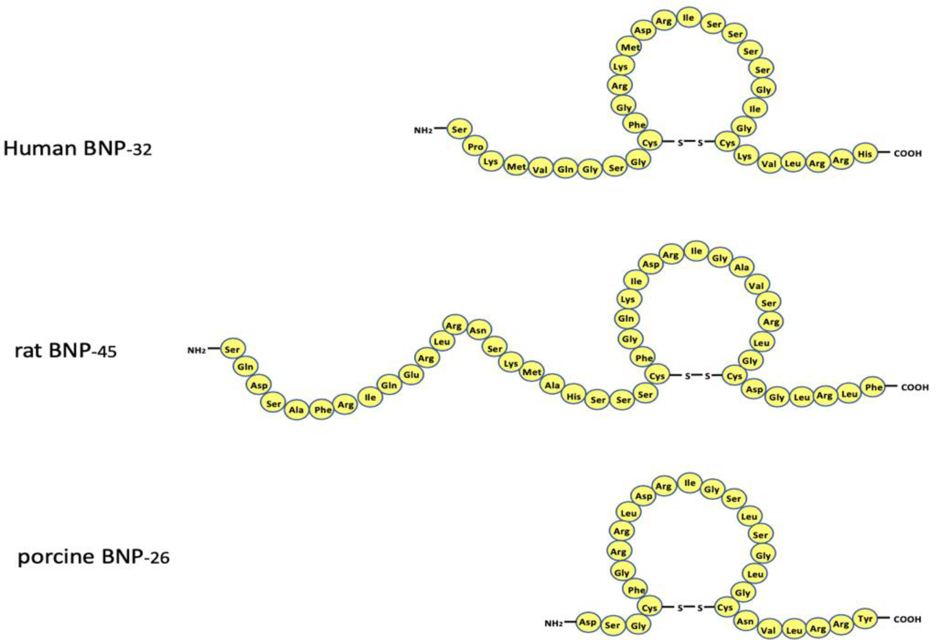 Biology 11 01034 g001