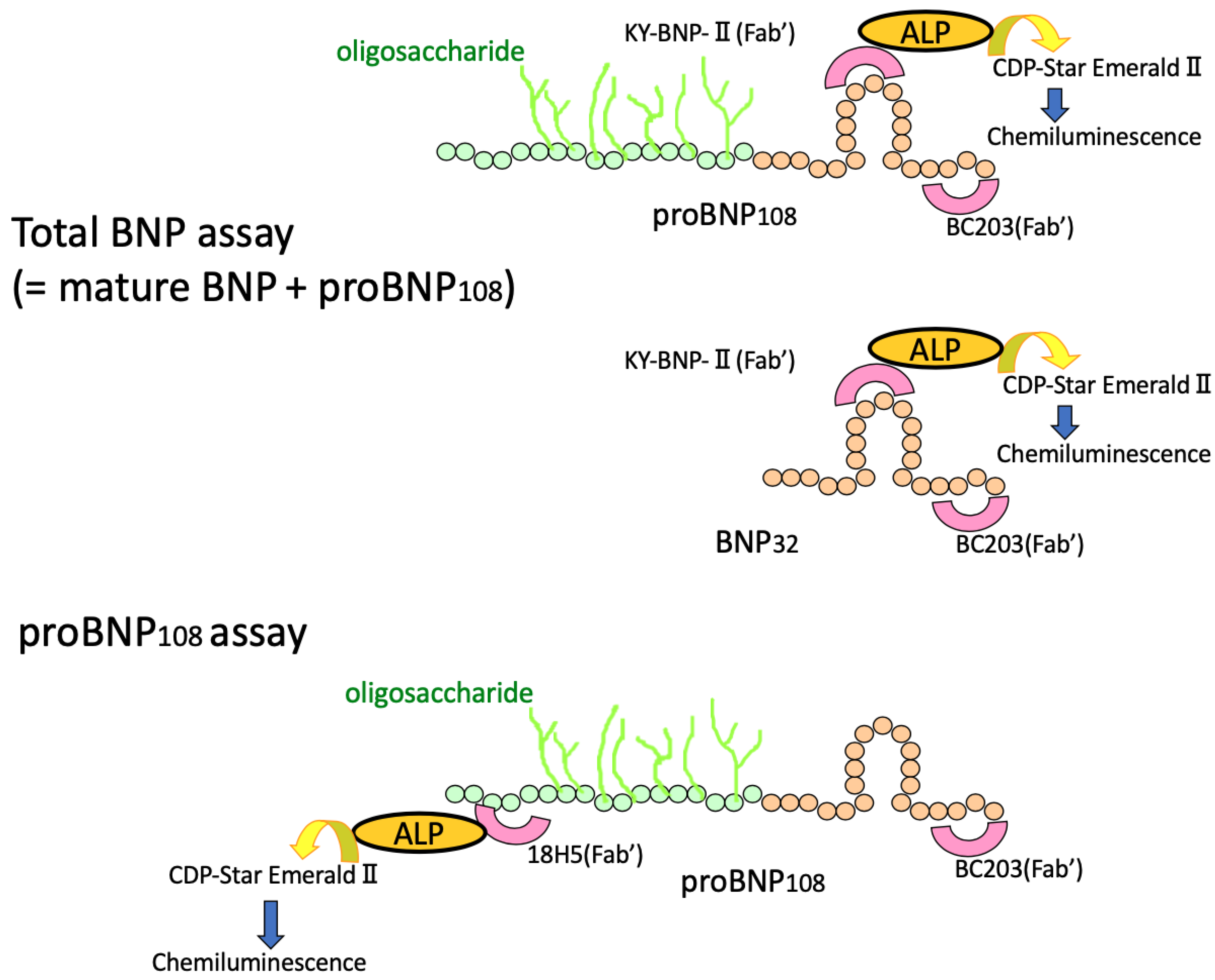 Biology 11 01034 g005