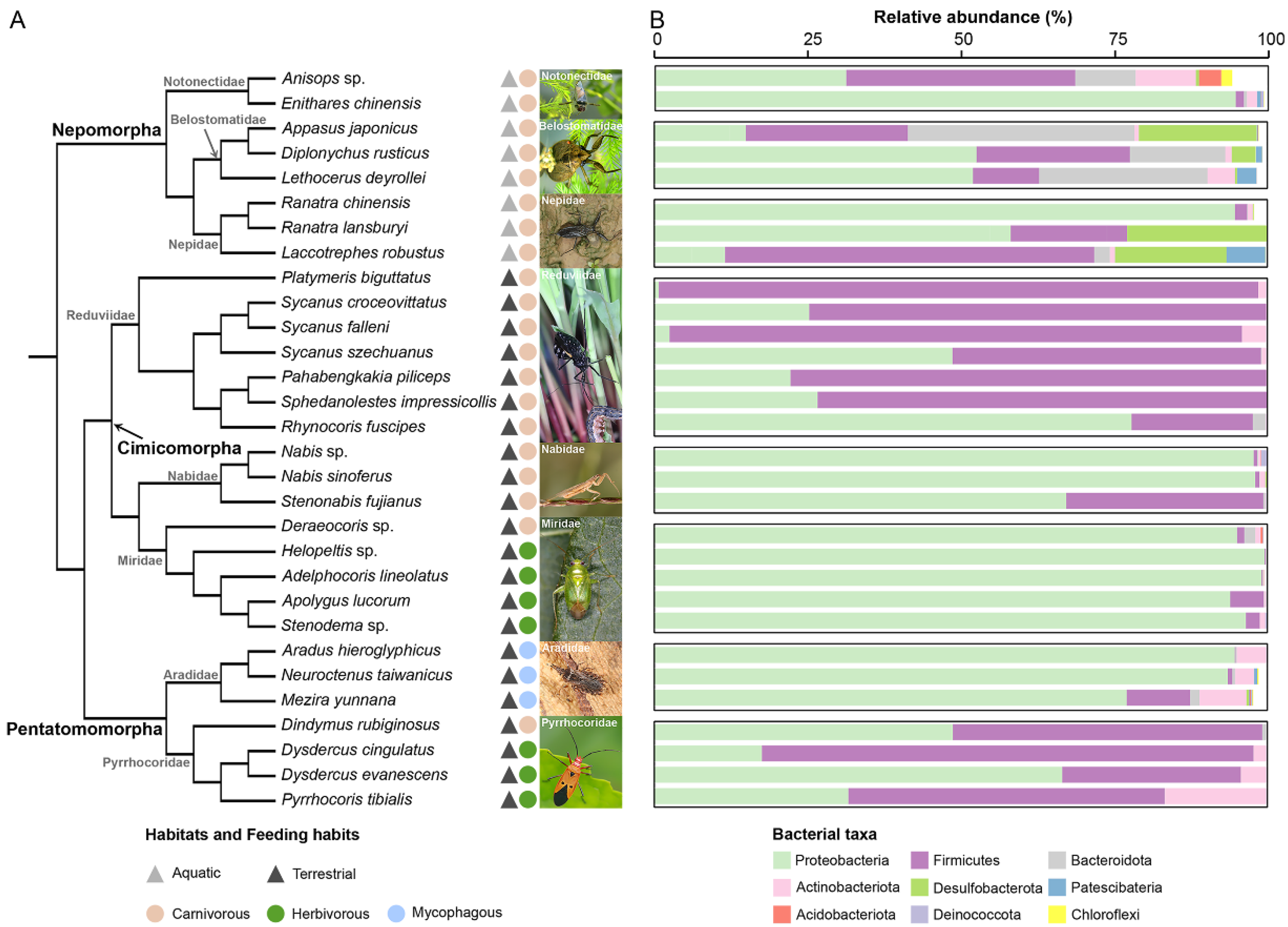 Biology 11 01039 g001