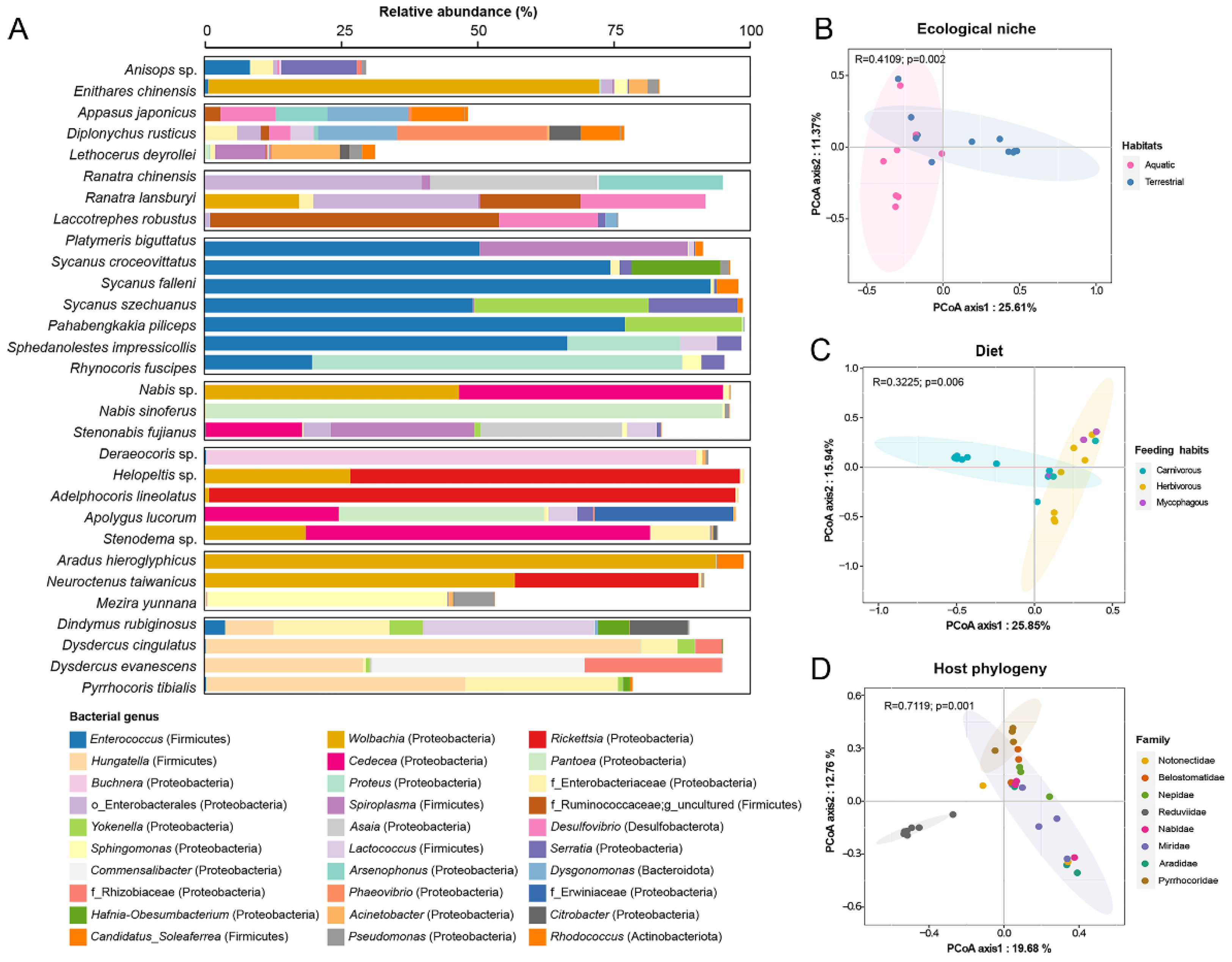 Biology 11 01039 g002