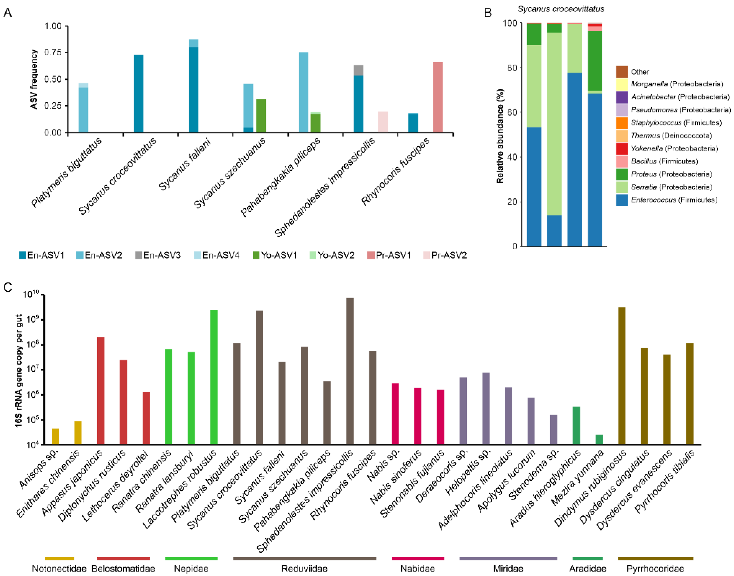 Biology 11 01039 g003