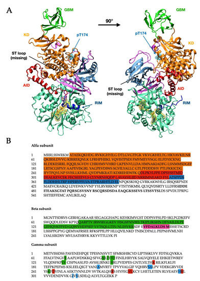 Biology 11 01041 g001 550