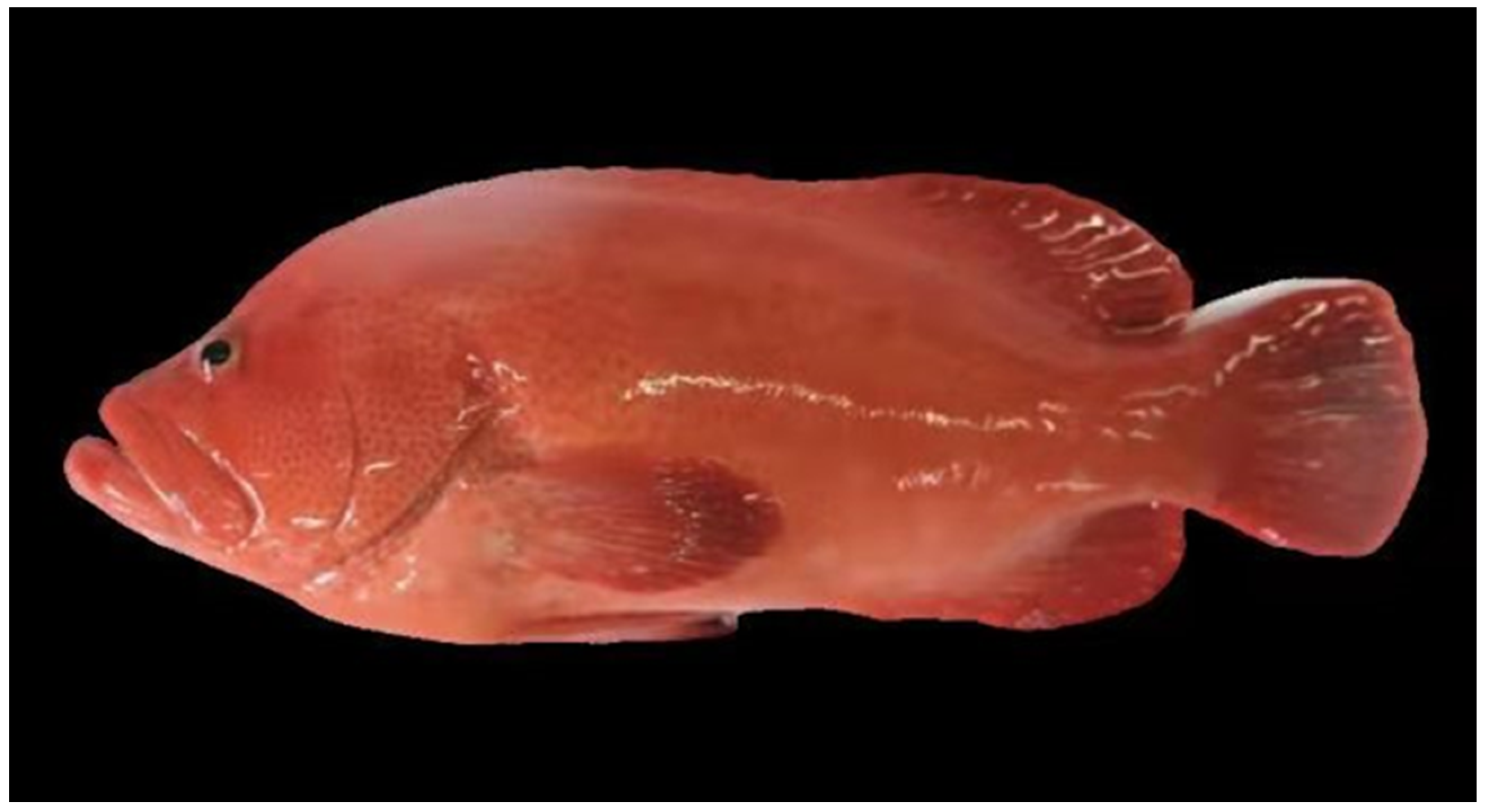 Biology 11 01053 g001