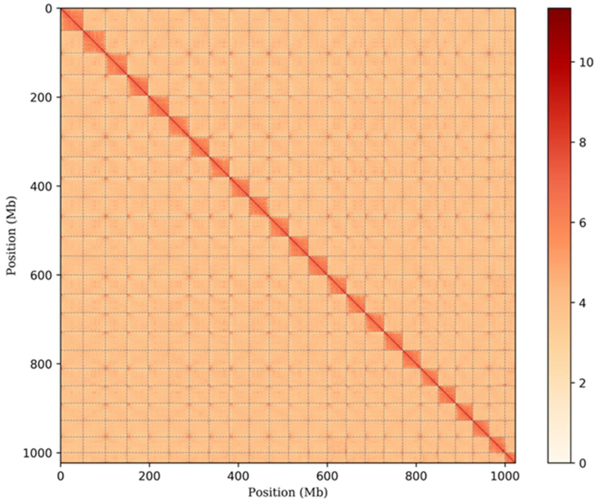Biology 11 01053 g002
