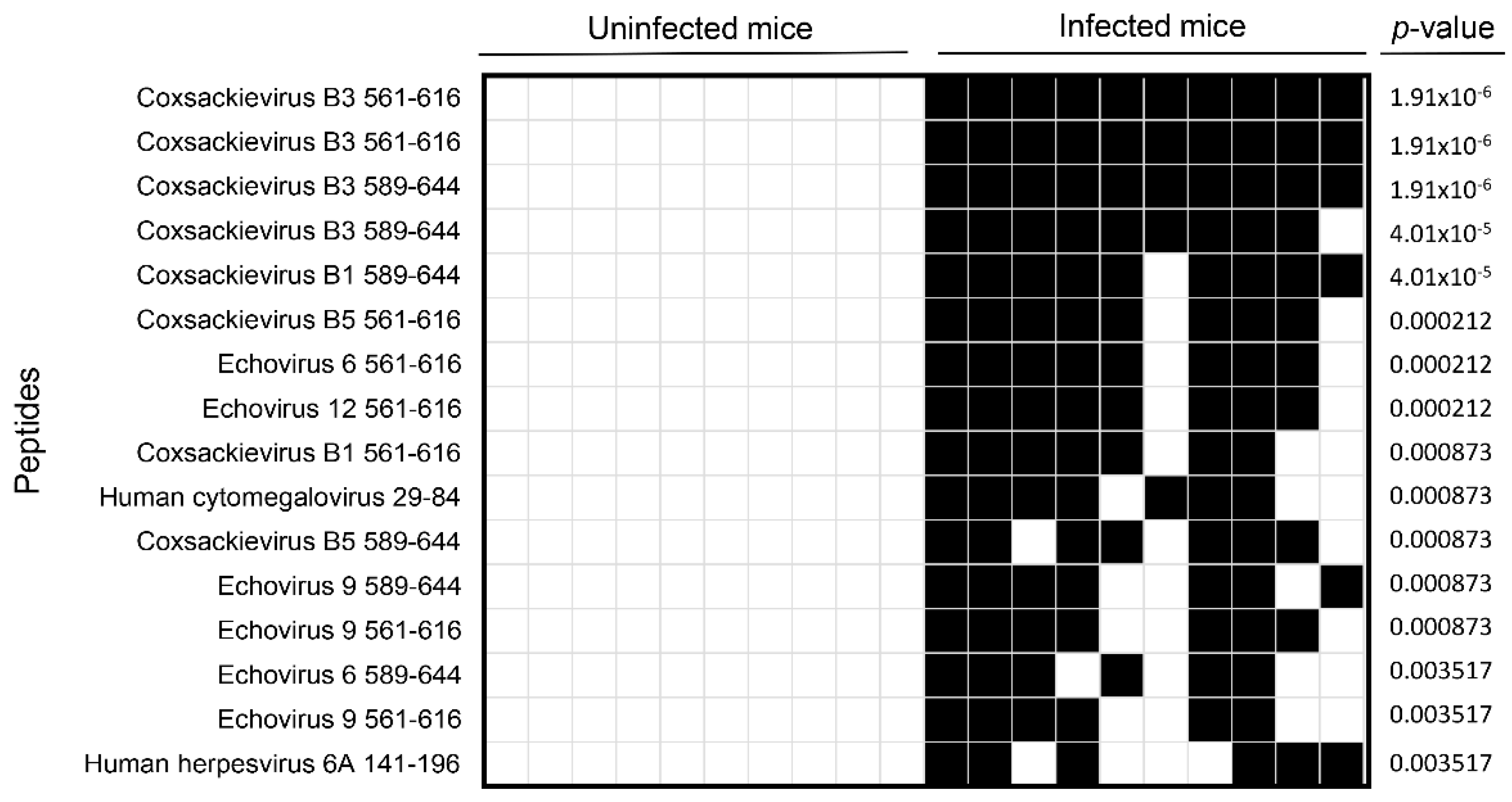 Biology 11 01055 g001