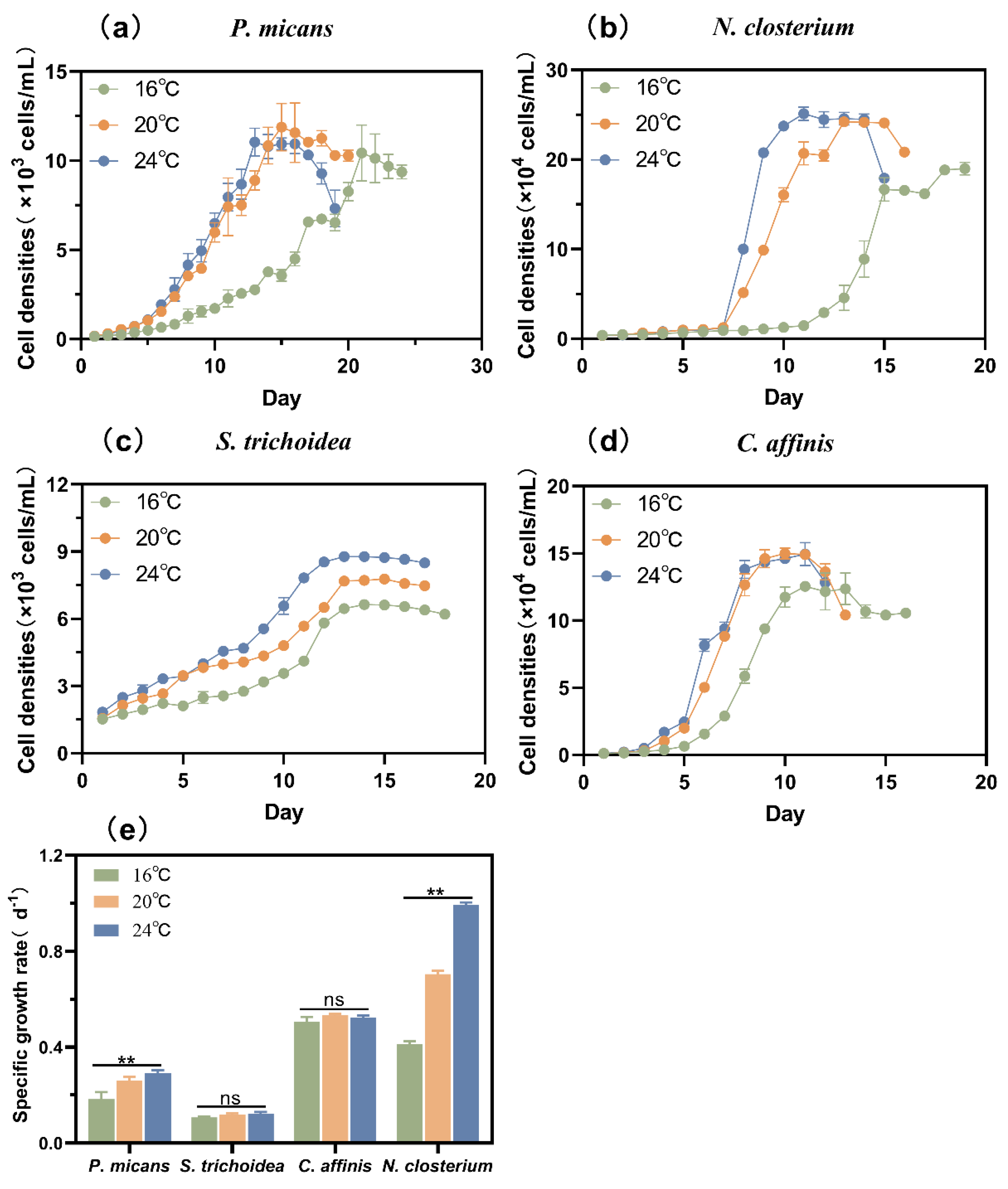 Biology 11 01056 g001