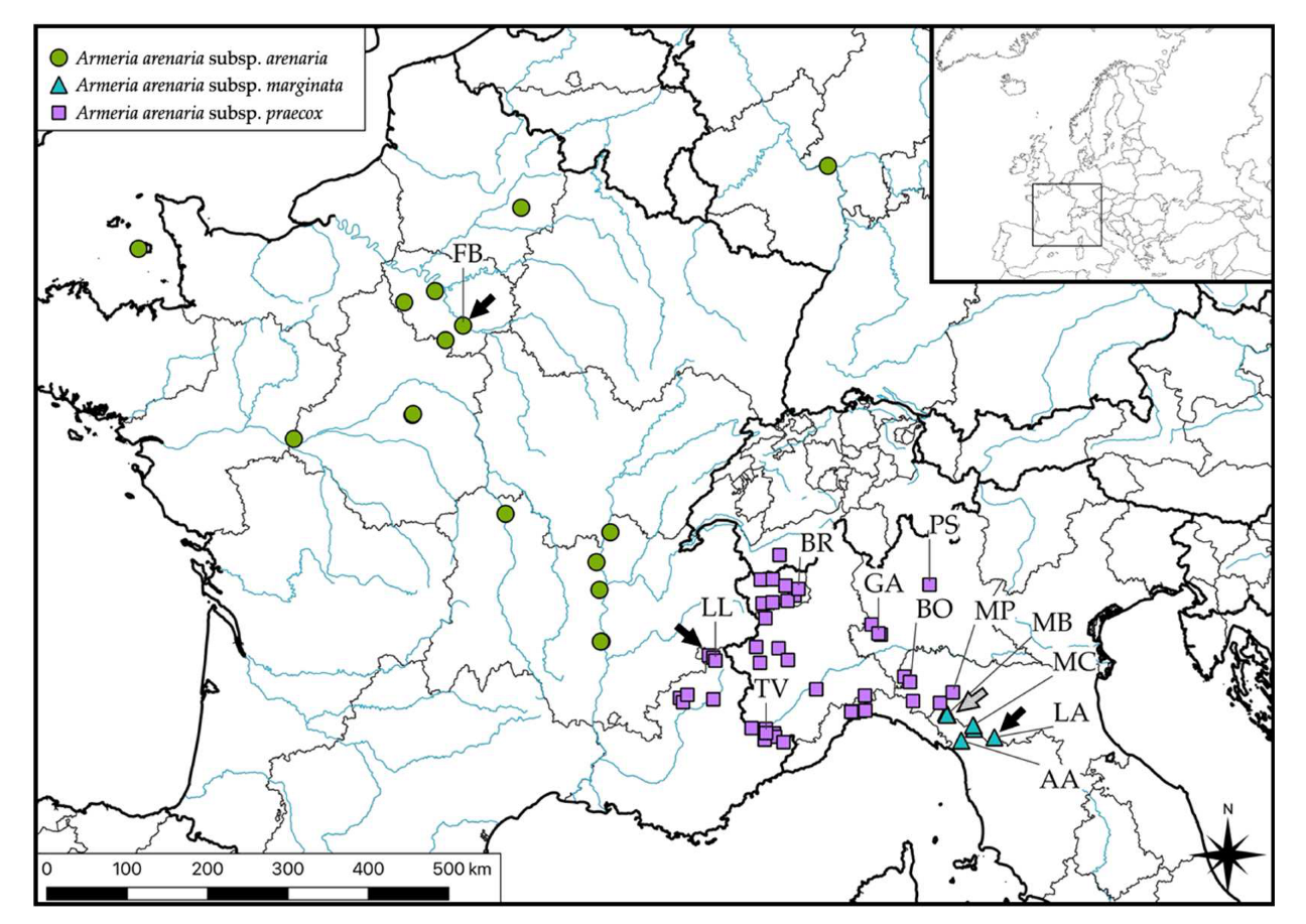 Biology 11 01060 g006