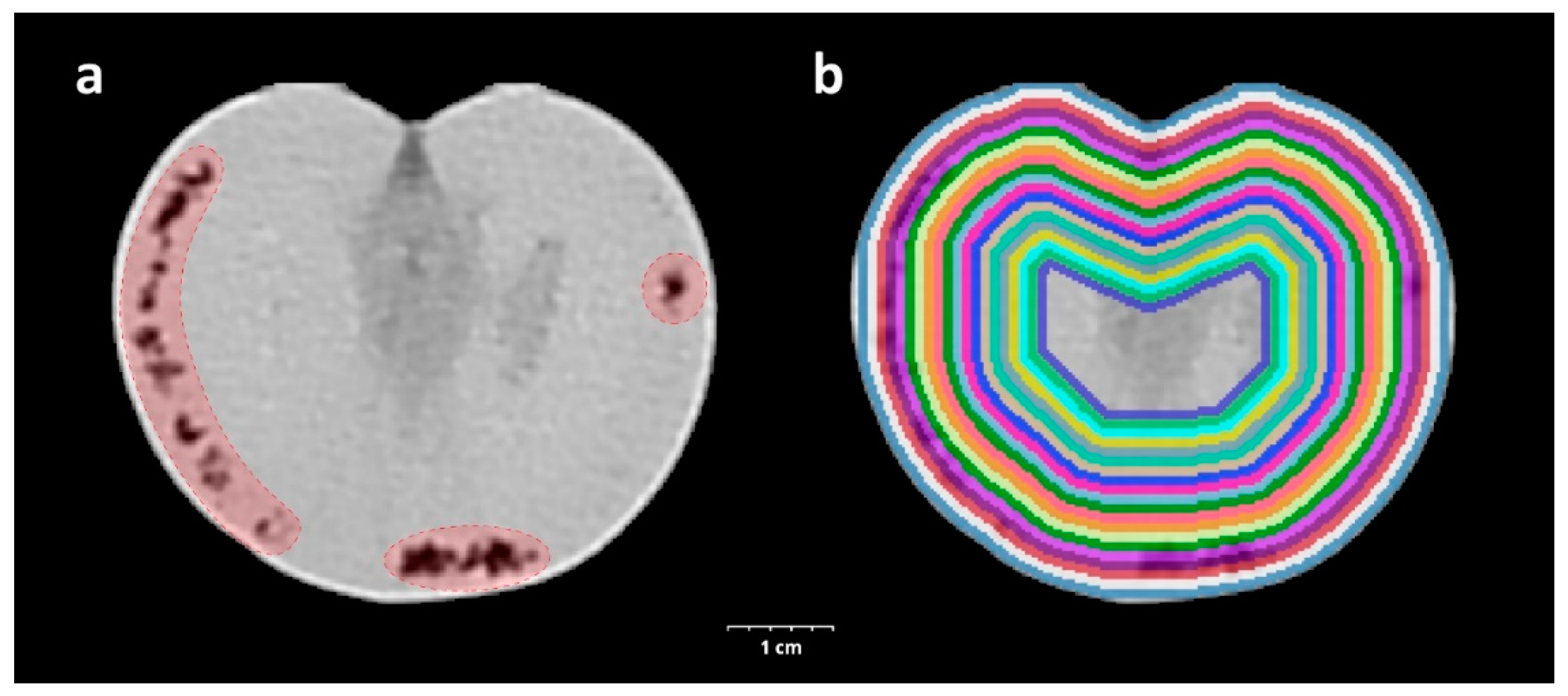 Biology 11 01070 g001