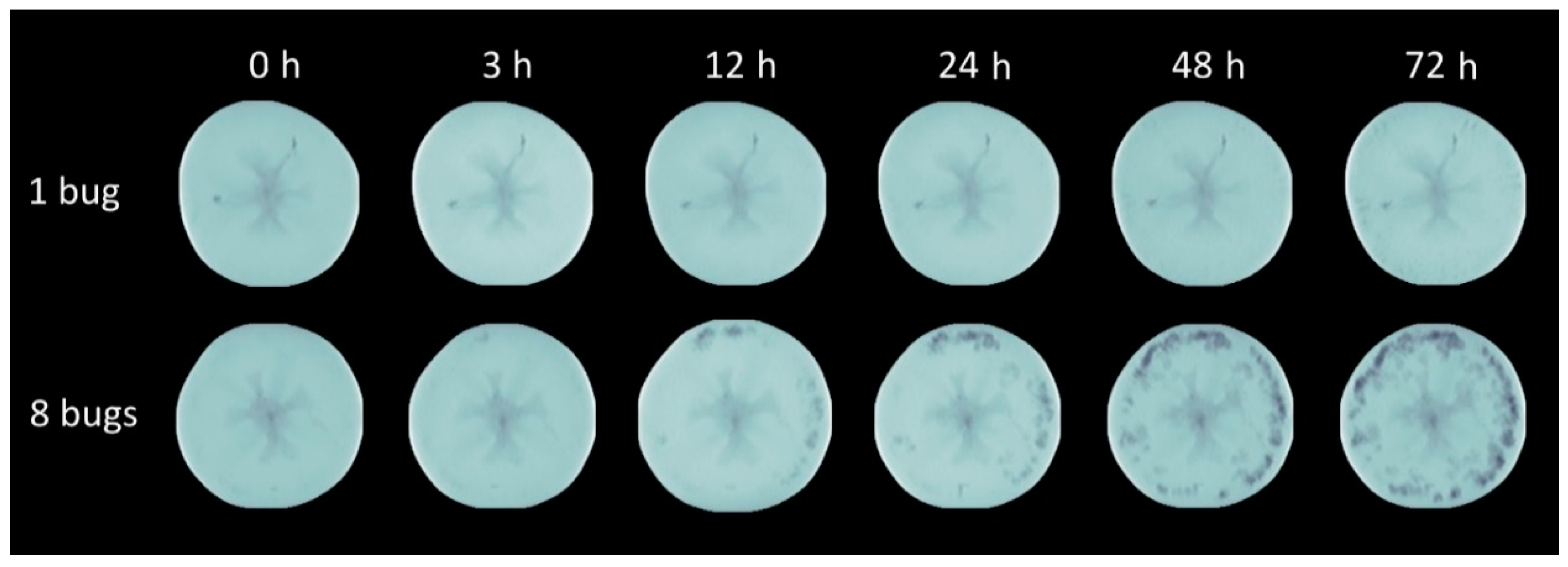 Biology 11 01070 g003