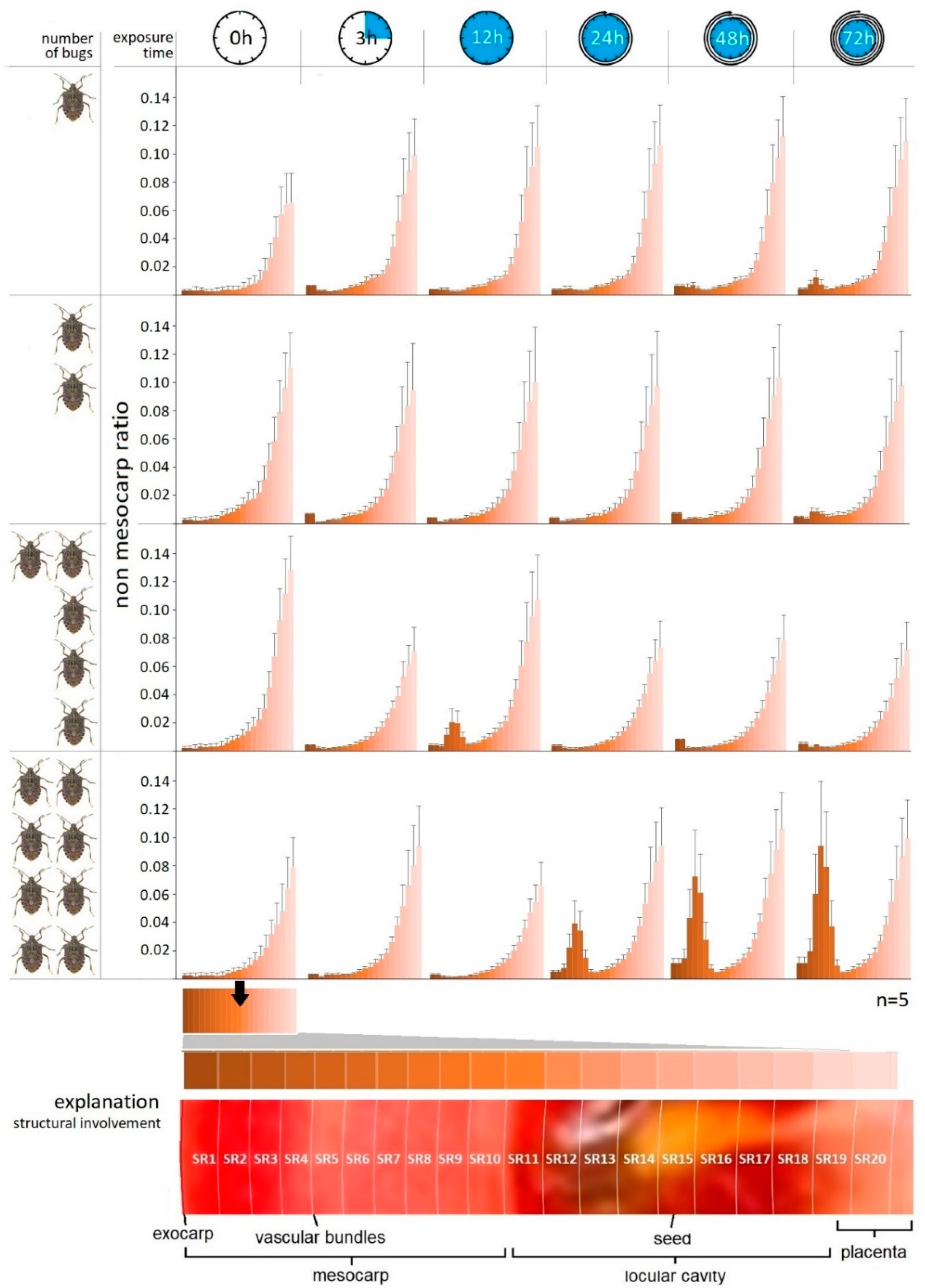Biology 11 01070 g004