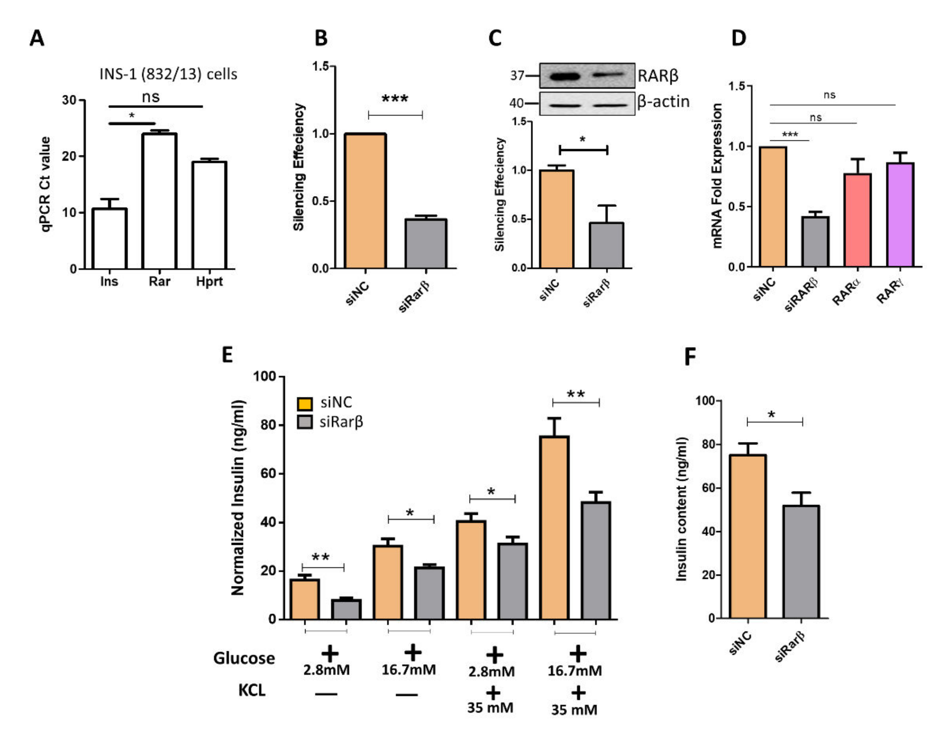 Biology 11 01072 g002 Biology 11 01072 g002