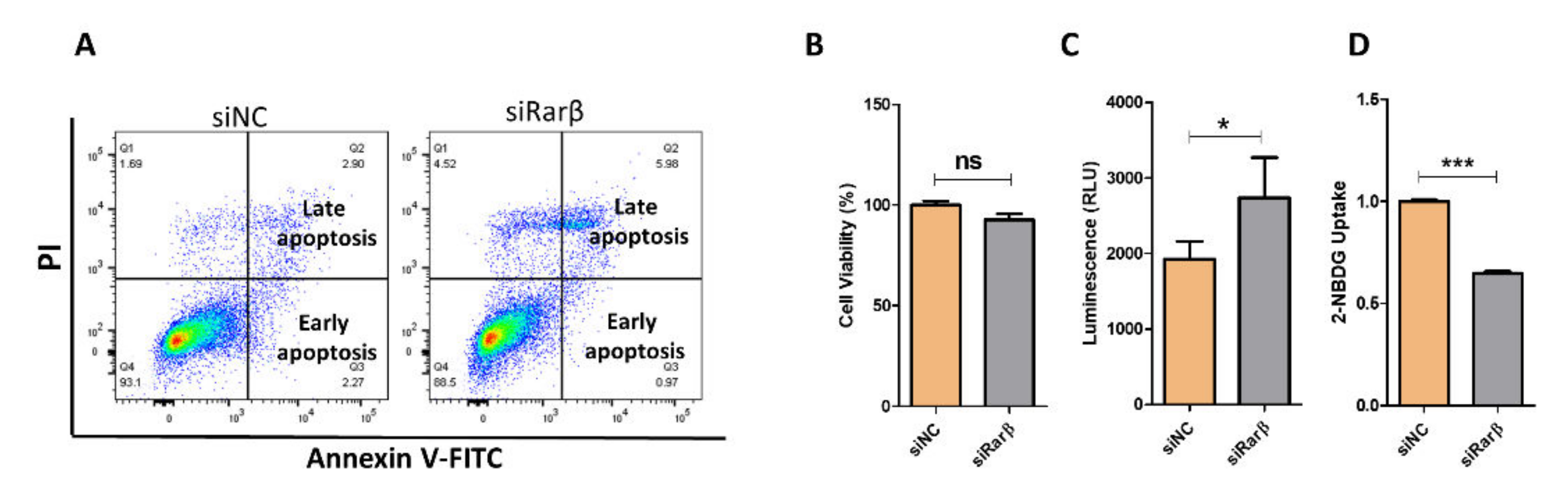 Biology 11 01072 g003 Biology 11 01072 g003