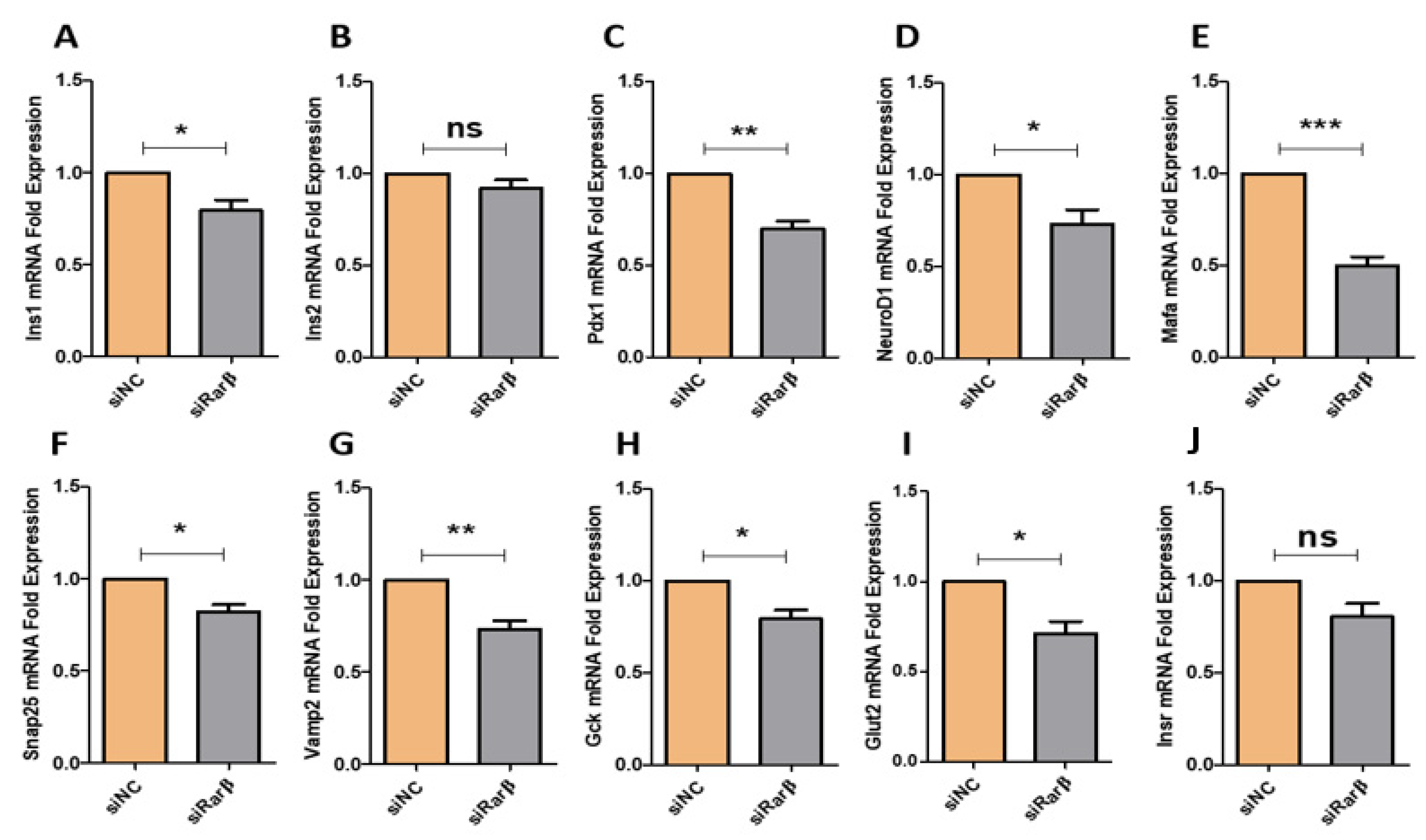 Biology 11 01072 g004 Biology 11 01072 g004