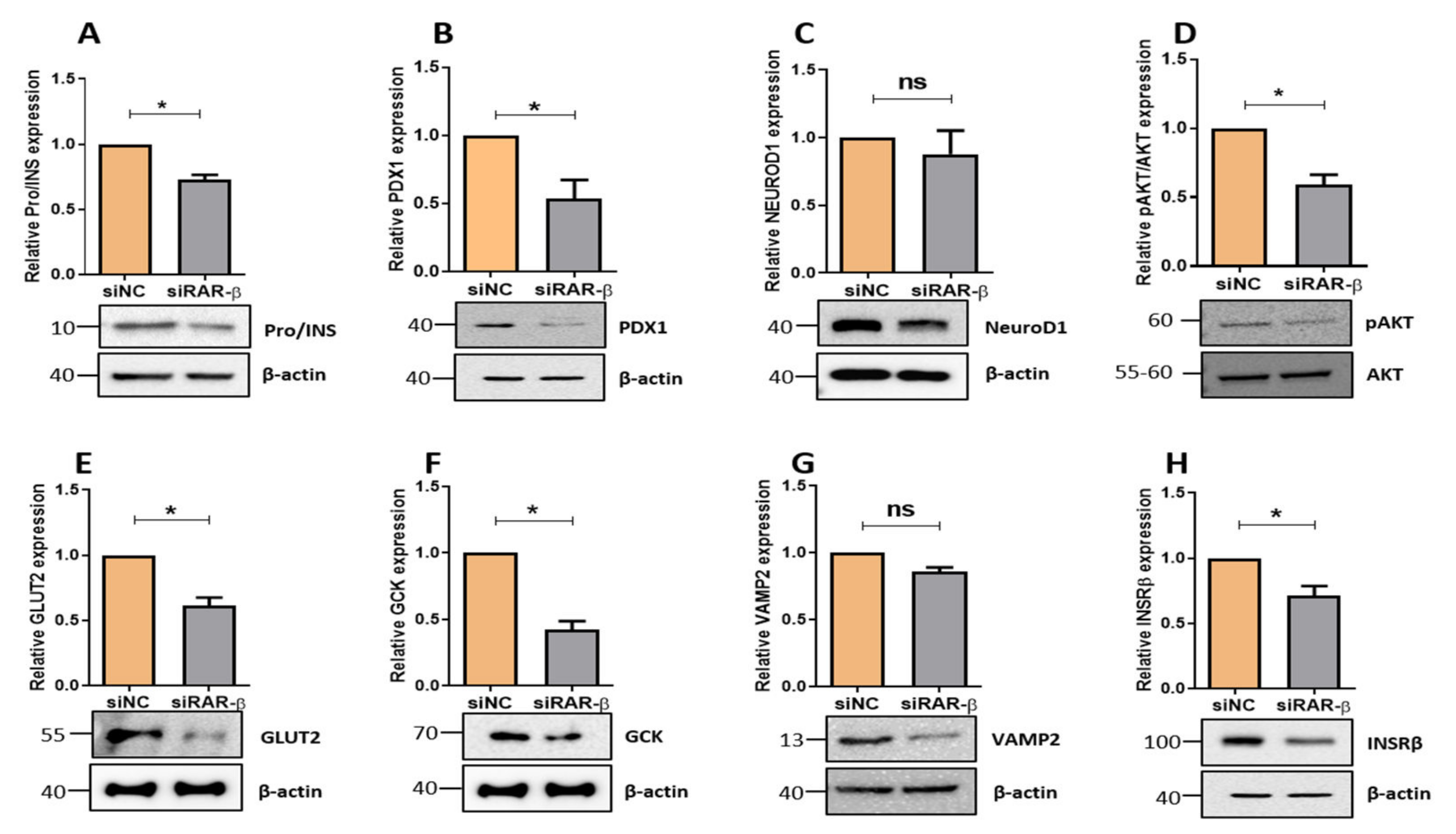 Biology 11 01072 g005 Biology 11 01072 g005