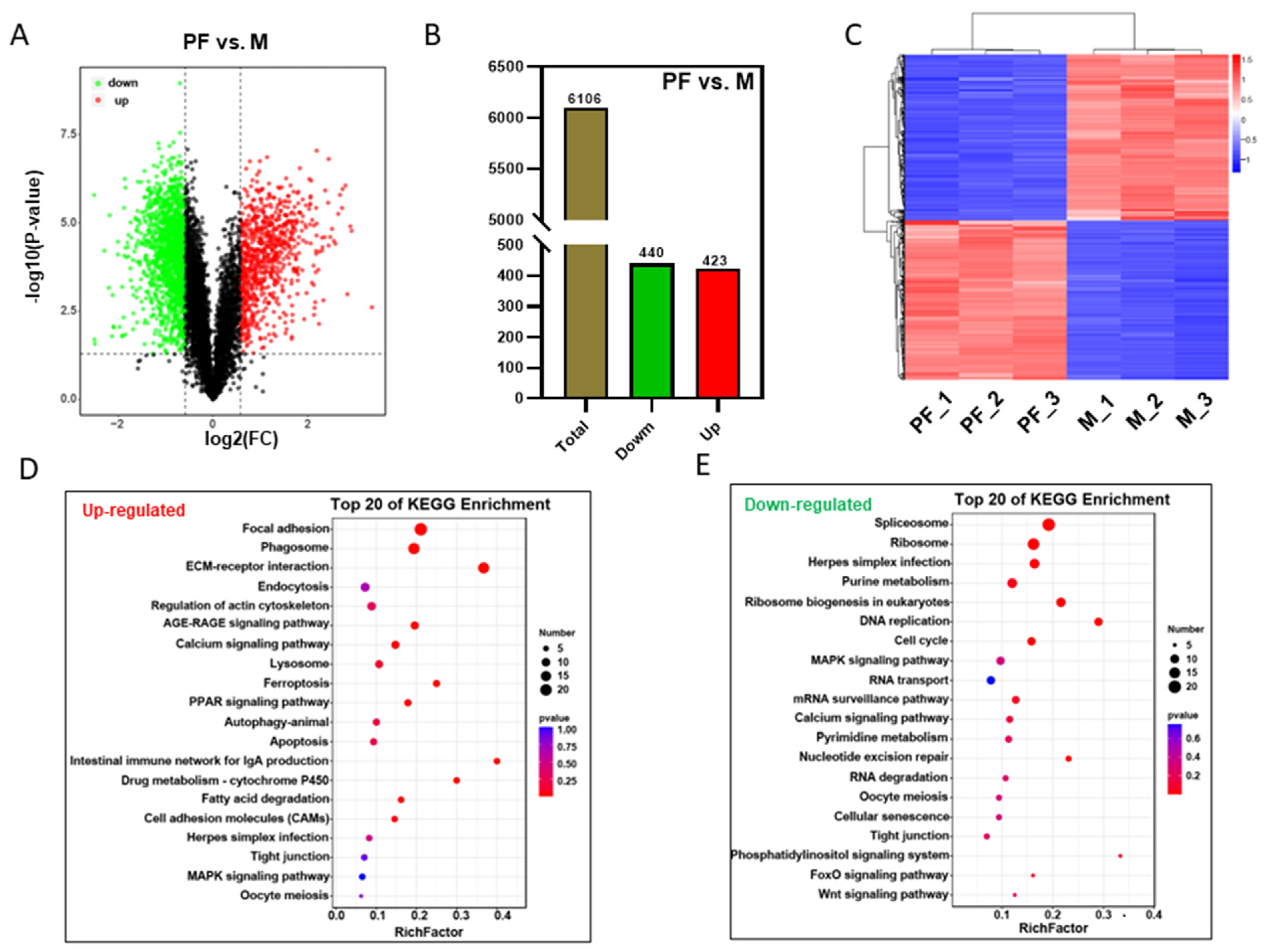 Biology 11 01081 g003