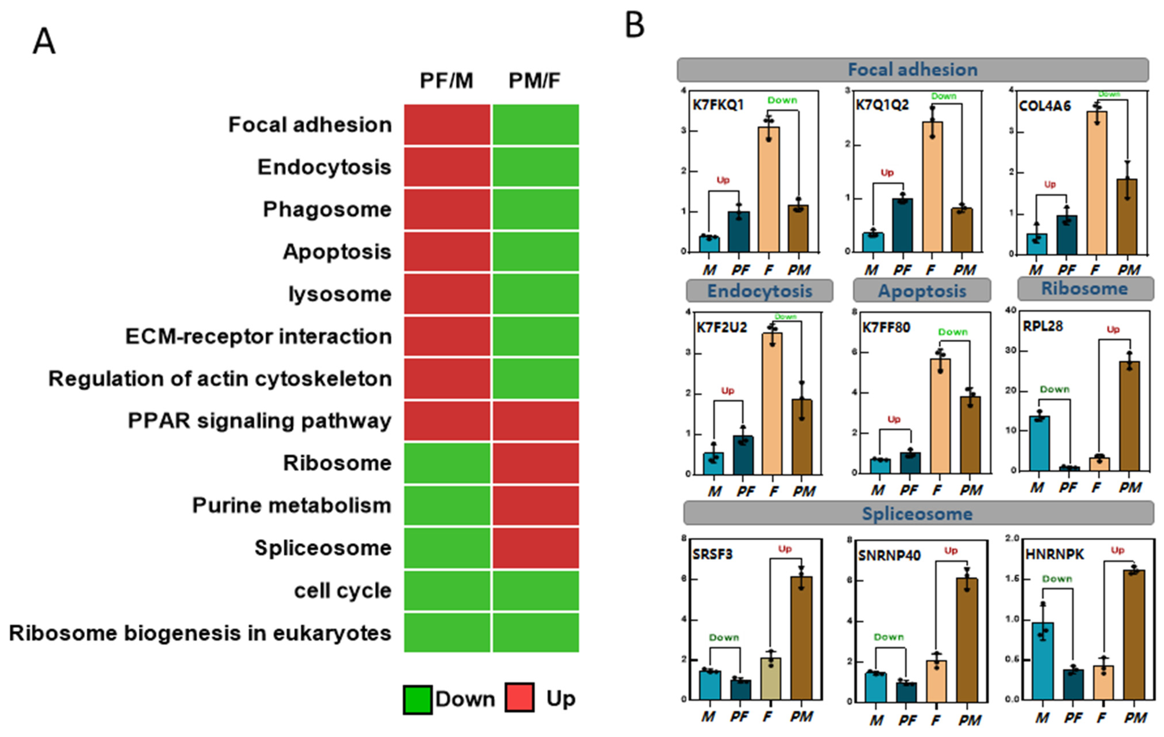 Biology 11 01081 g005