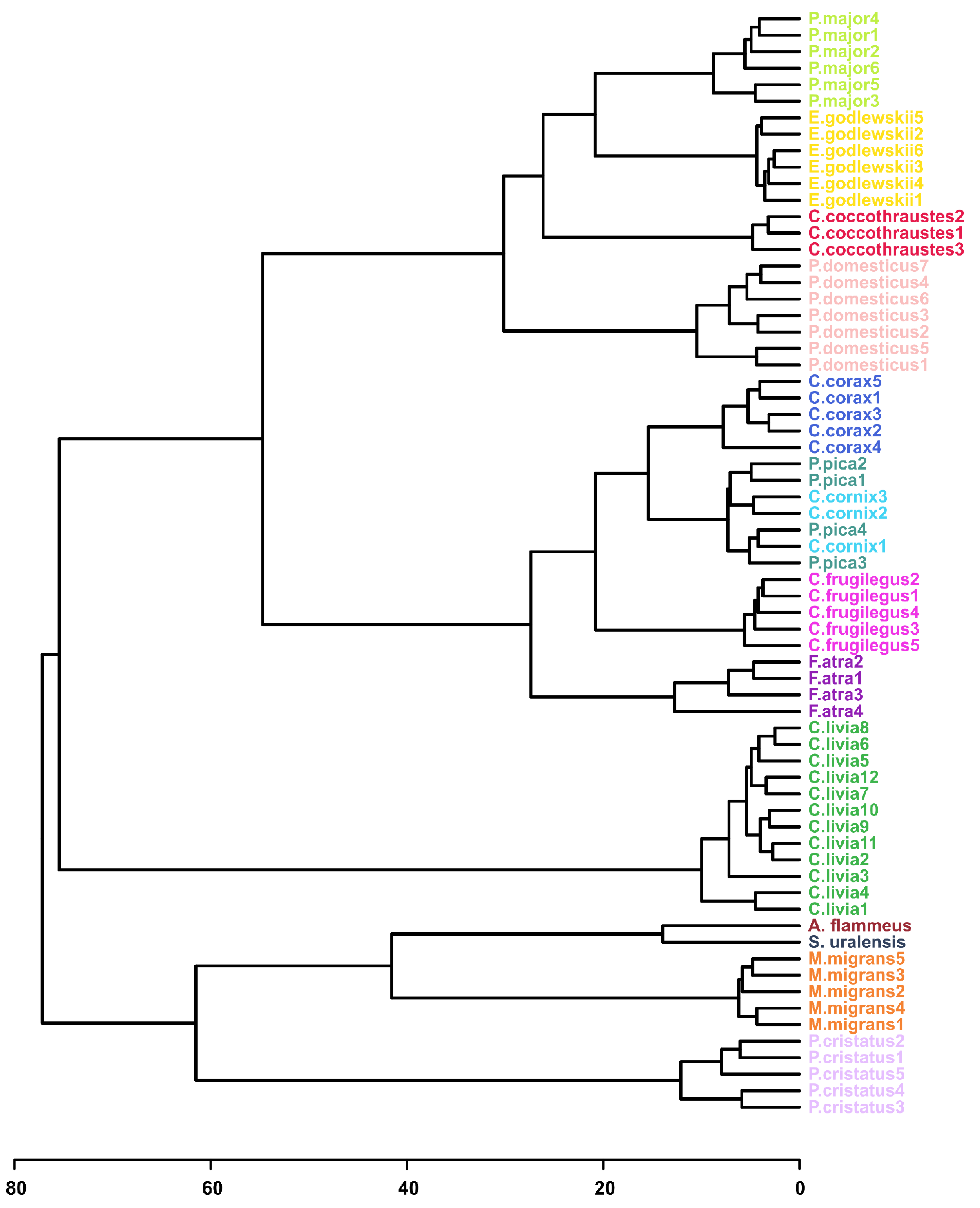 Biology 11 01089 g003
