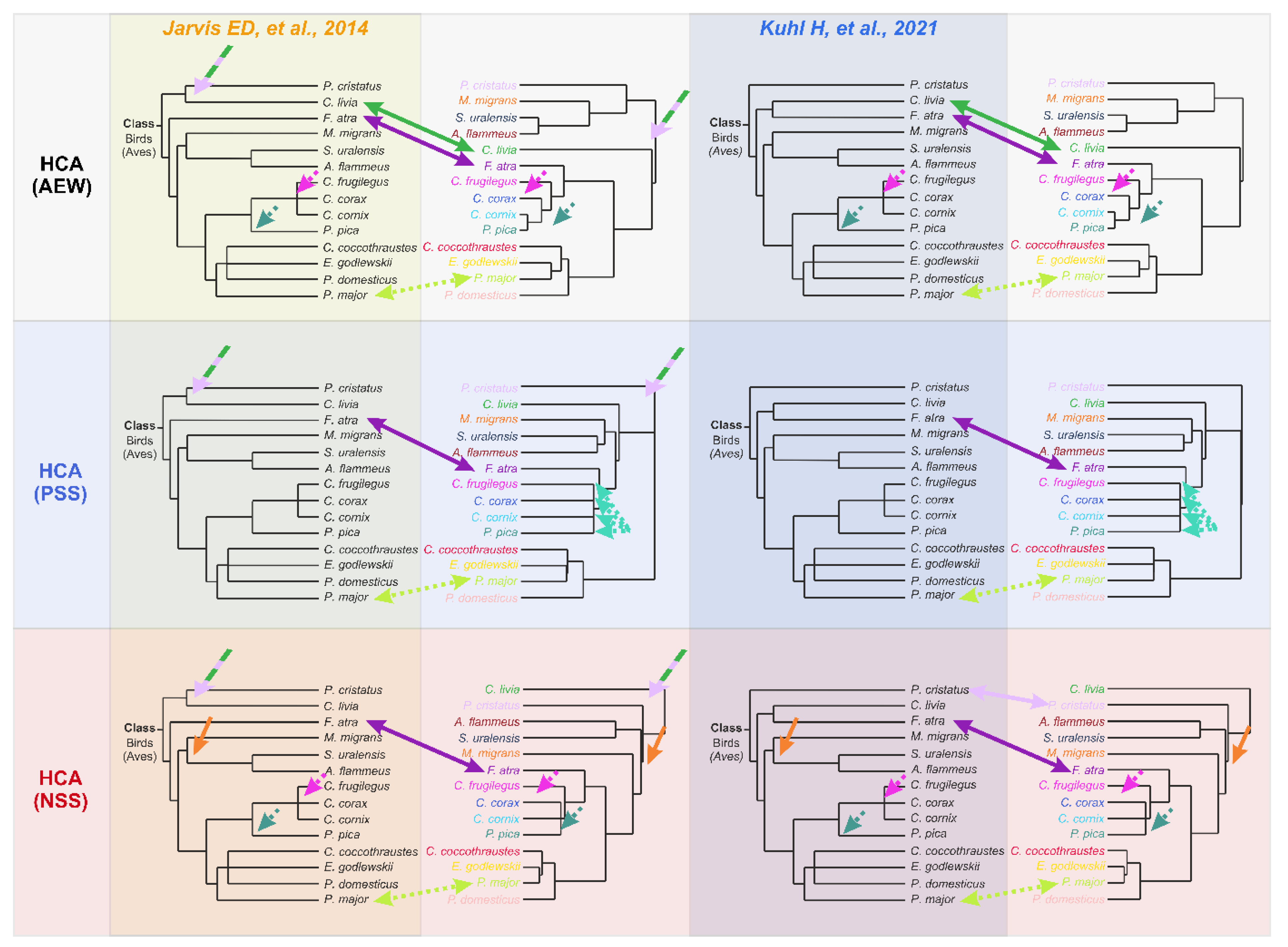 Biology 11 01089 g005