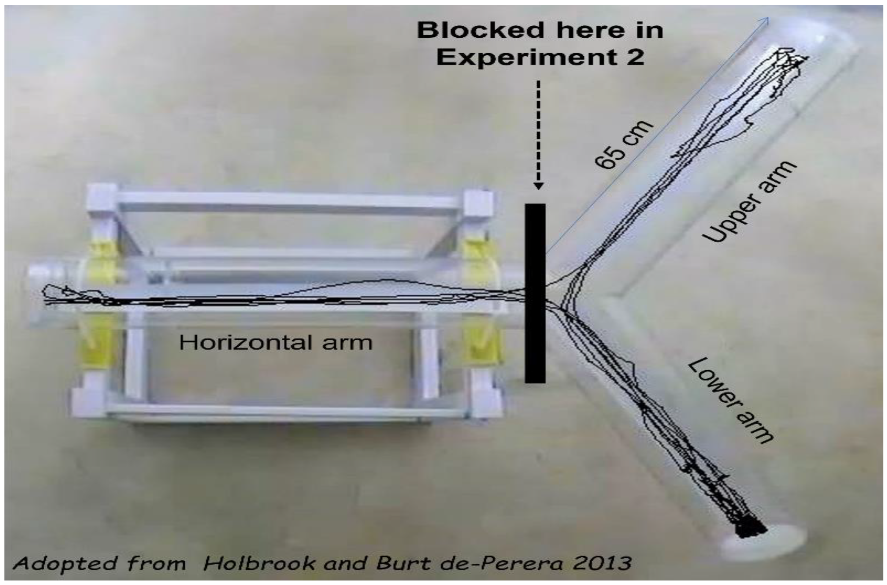 Biology 11 01090 g001