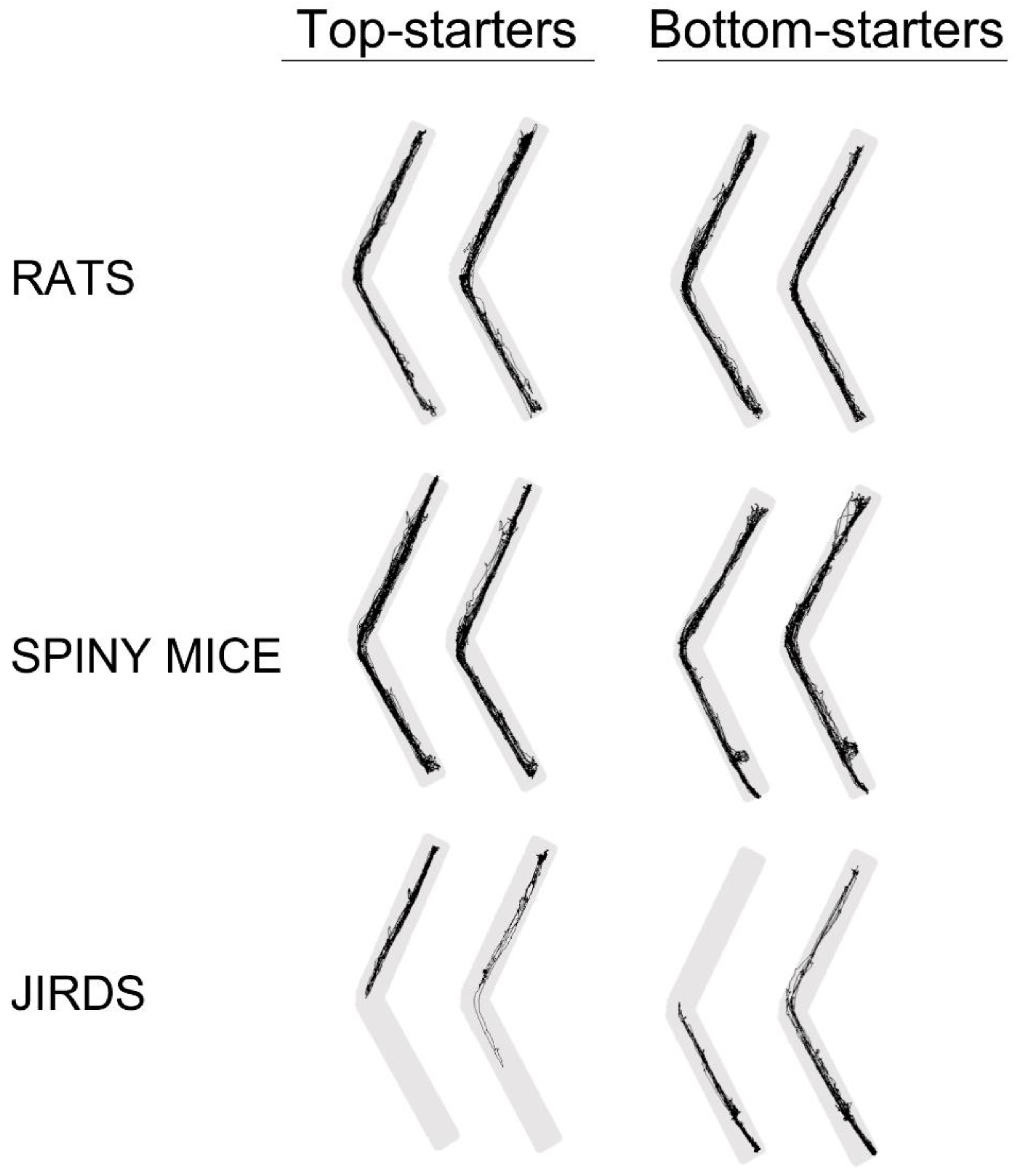 Biology 11 01090 g006