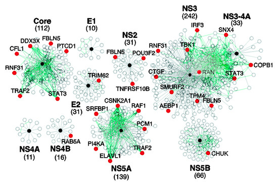Biology 11 01091 g001 550