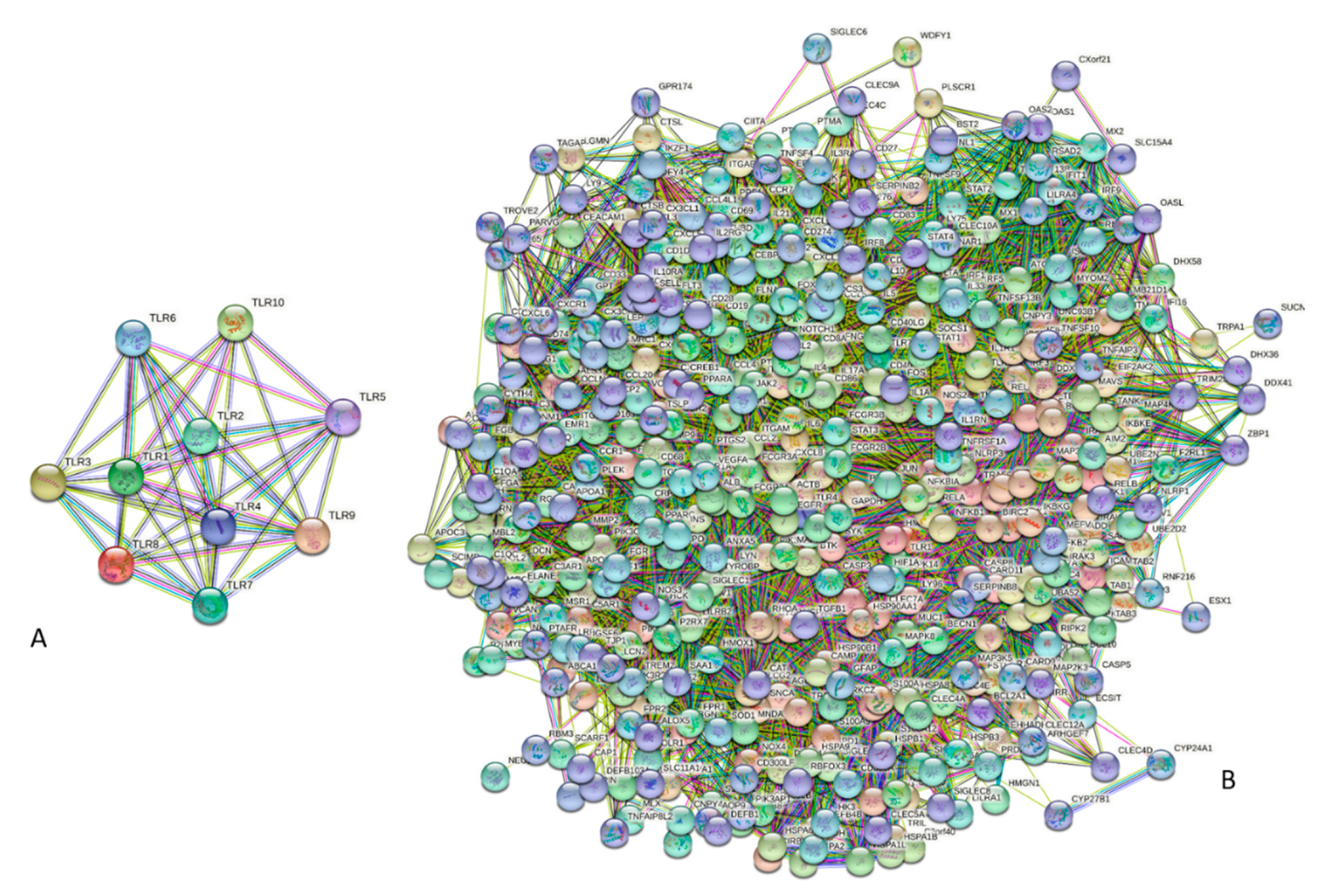 Biology 11 01091 g002