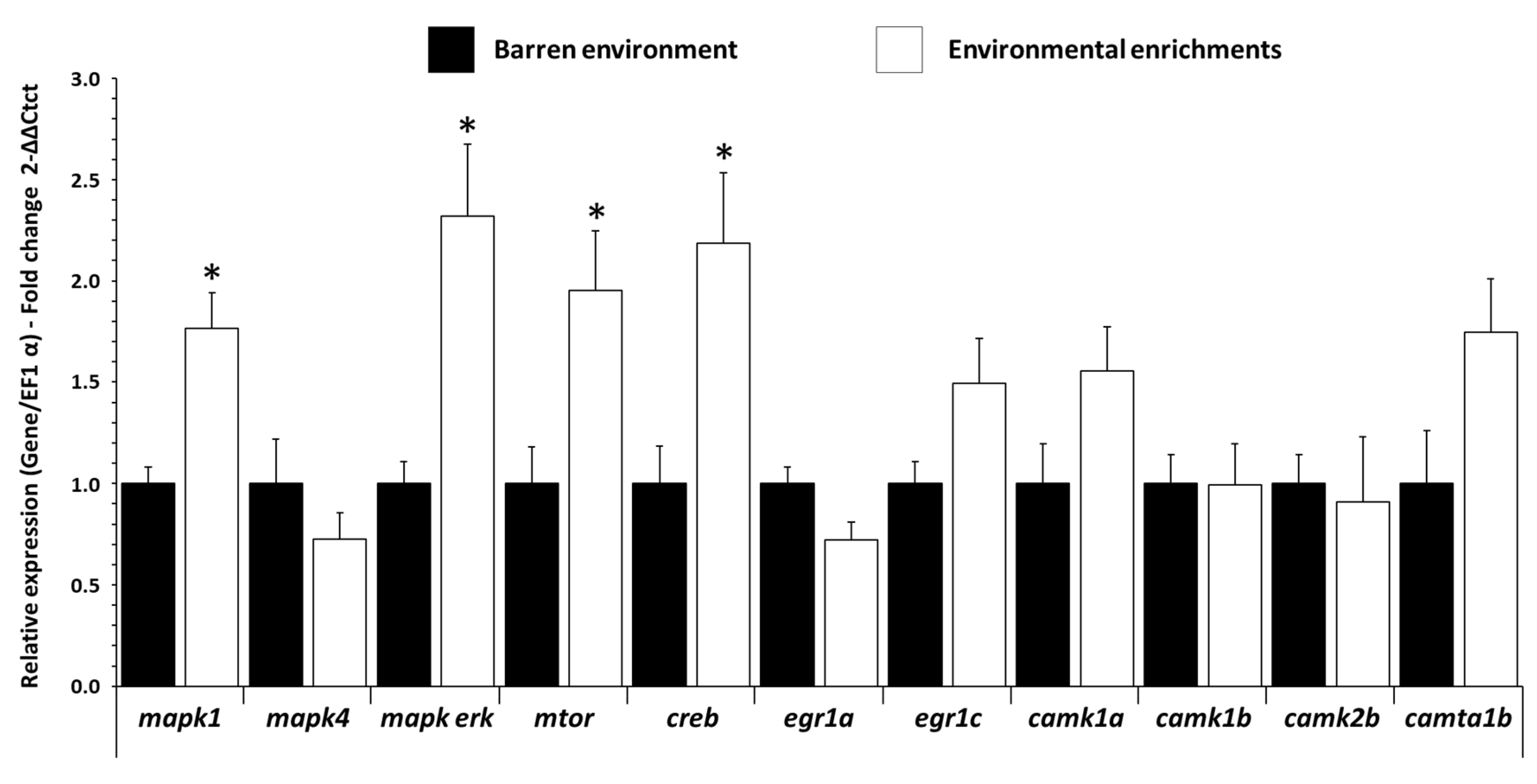Biology 11 01093 g004