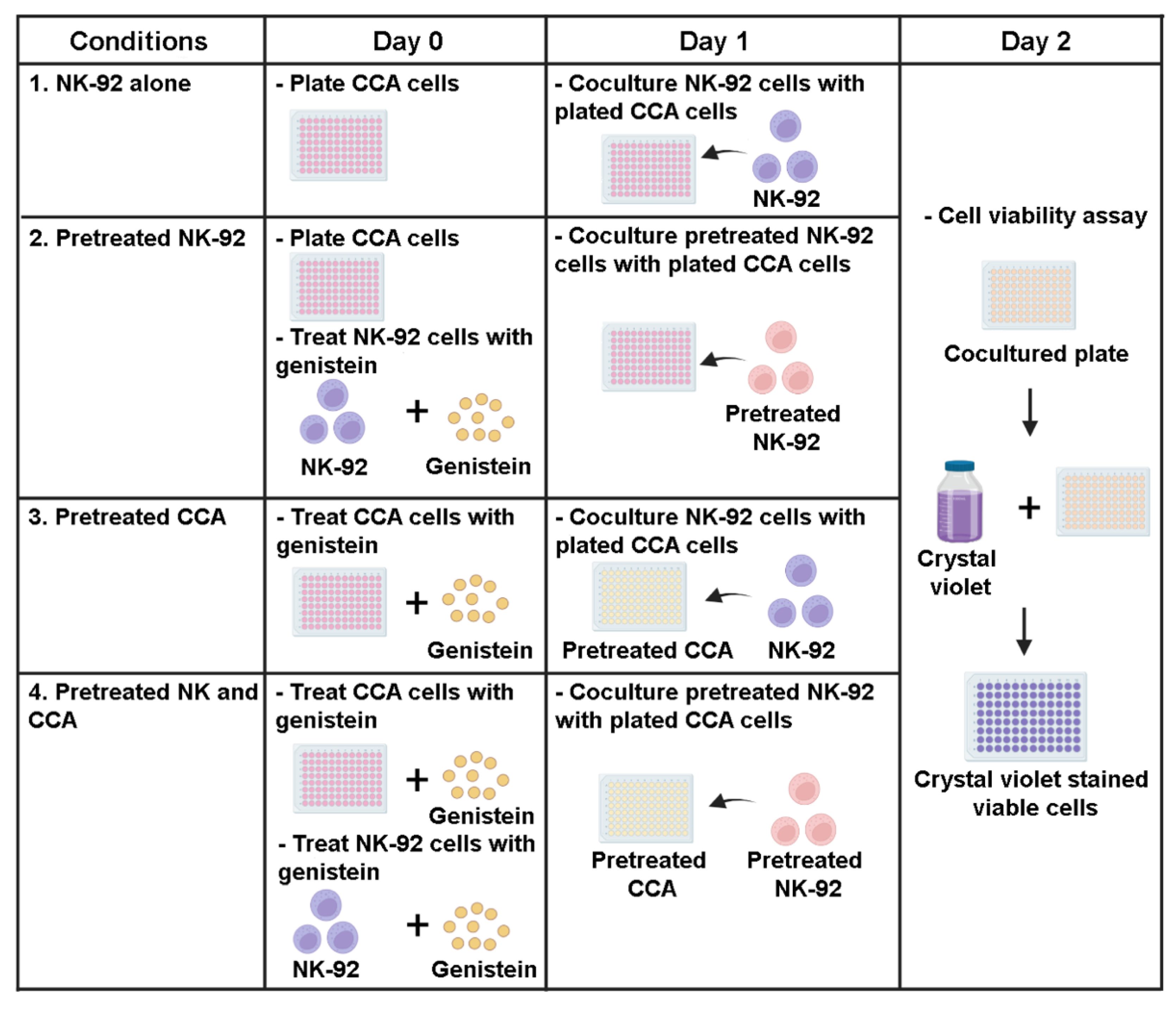 Biology 11 01098 g001 Biology 11 01098 g001