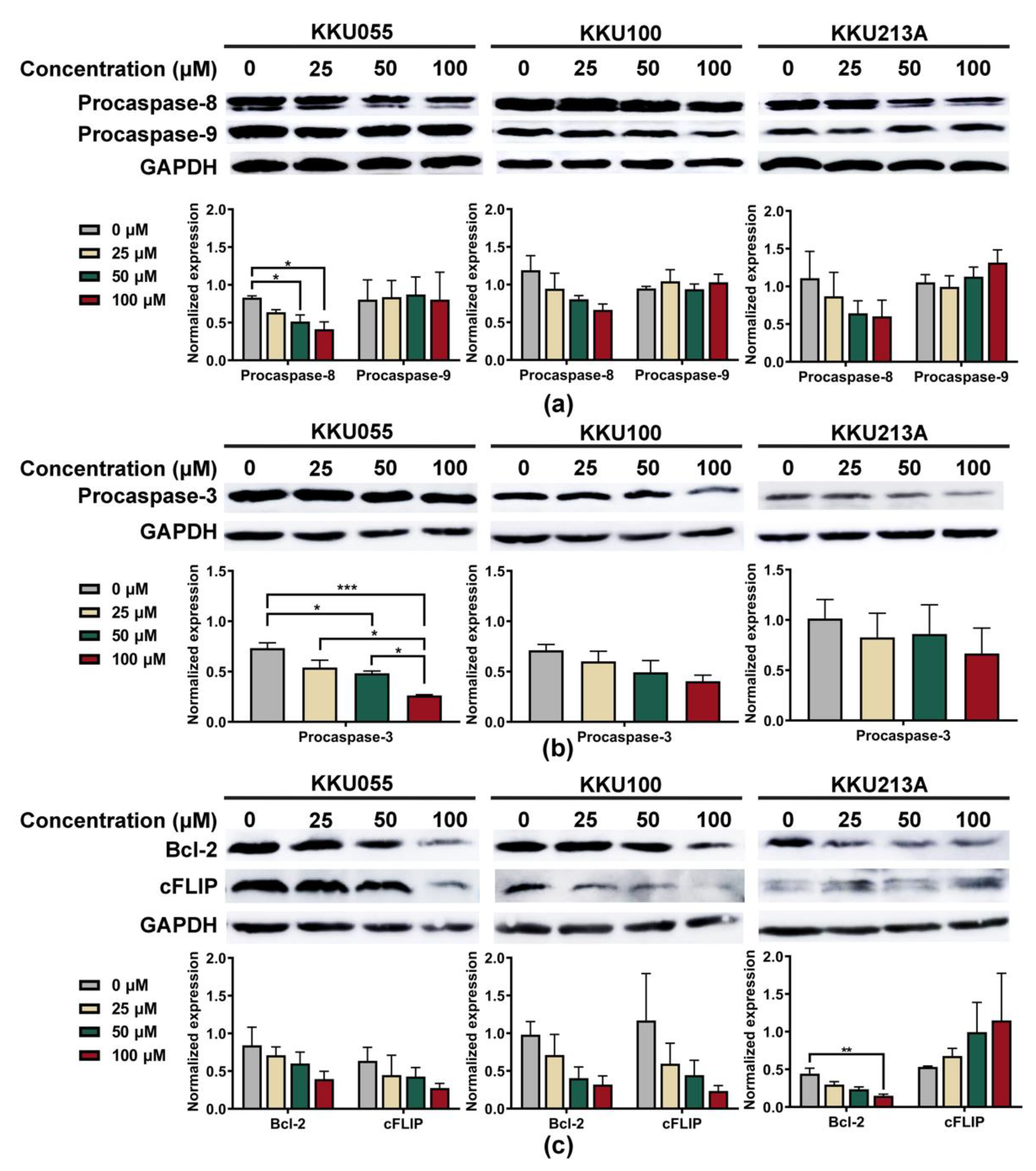 Biology 11 01098 g004 Biology 11 01098 g004