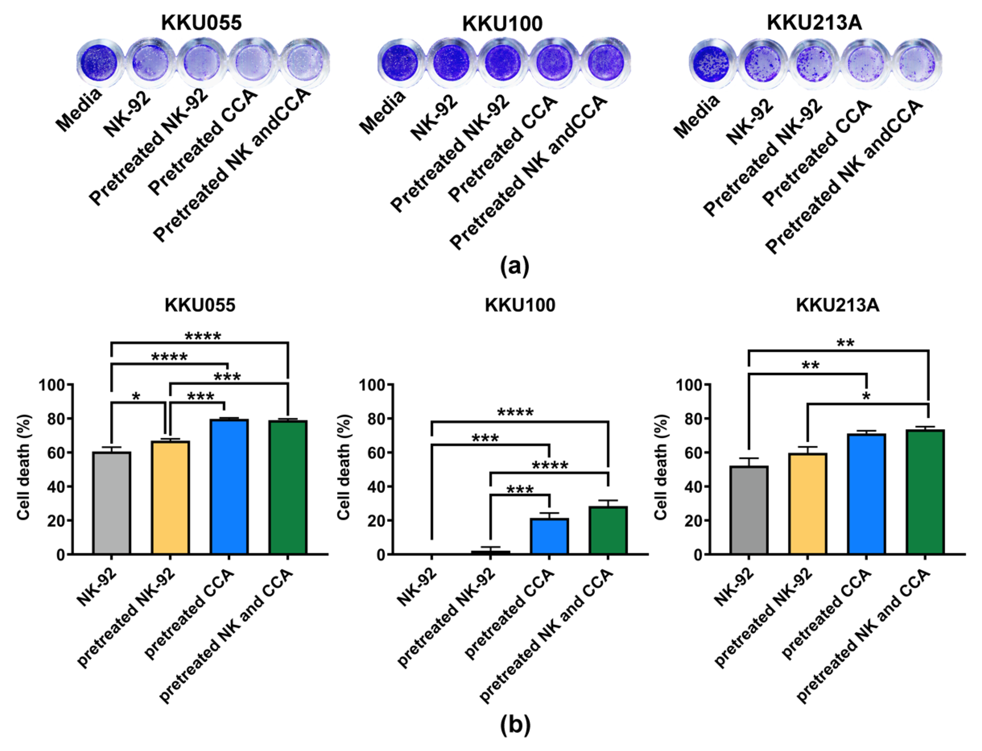 Biology 11 01098 g005 Biology 11 01098 g005