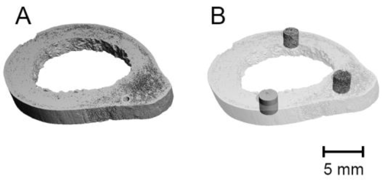 Biology 11 01105 g001
