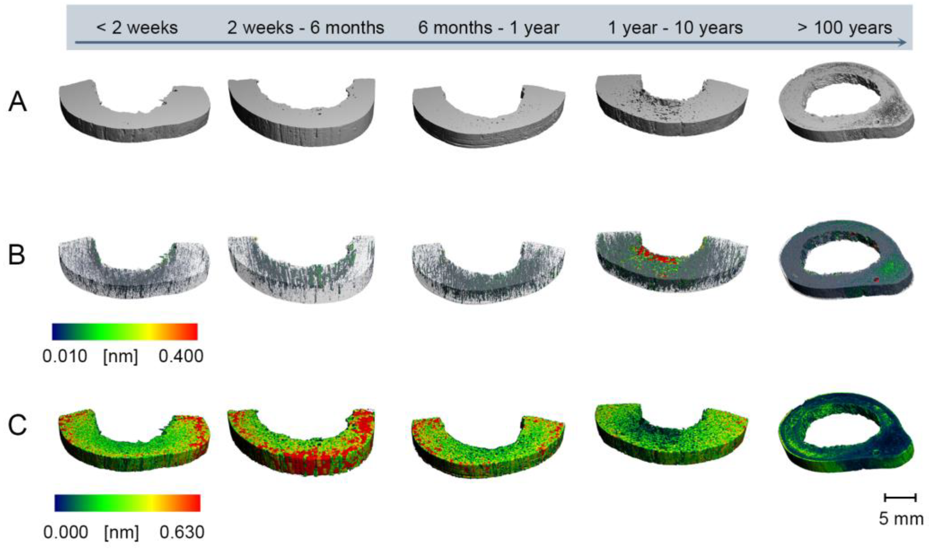 Biology 11 01105 g002
