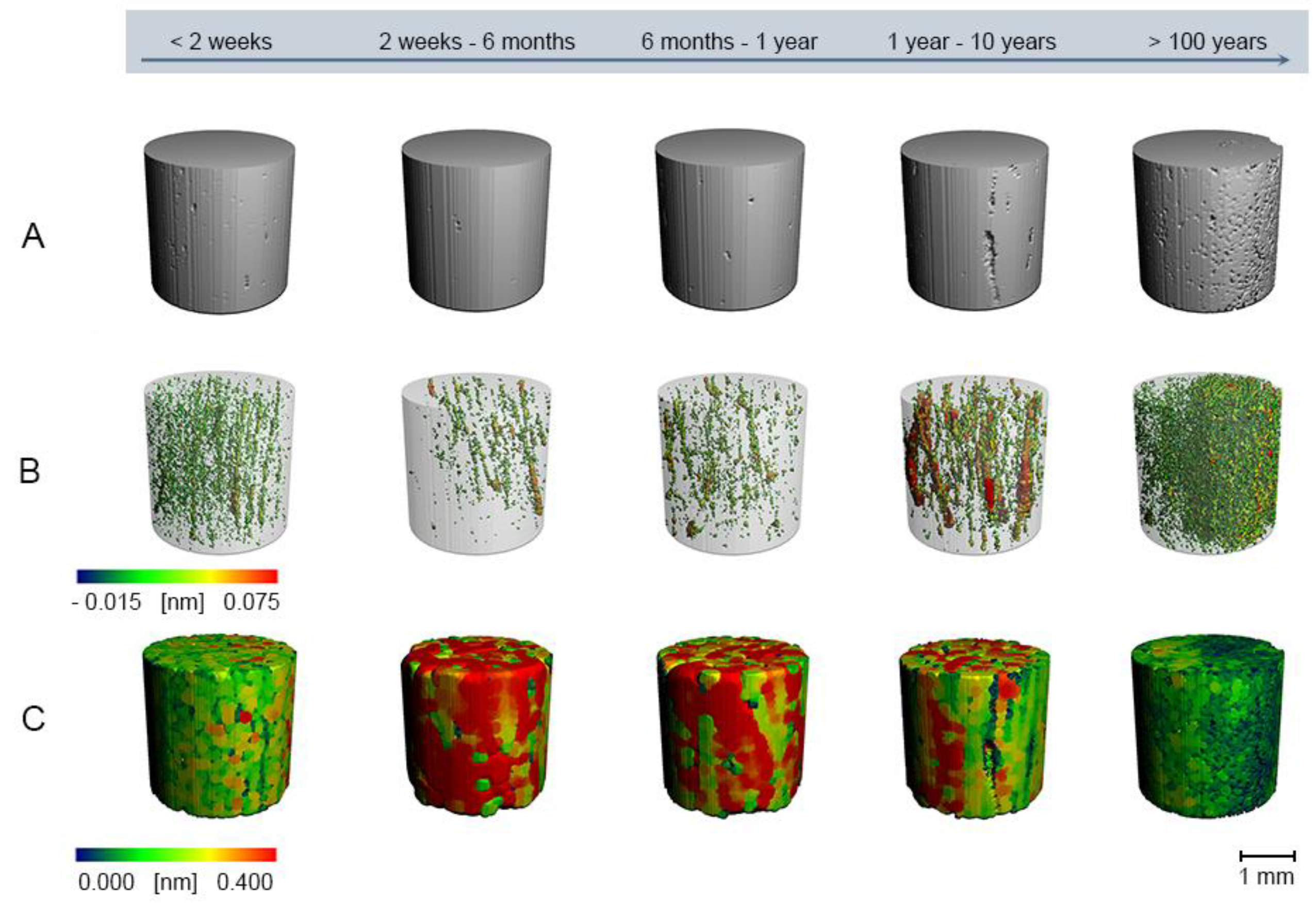 Biology 11 01105 g003