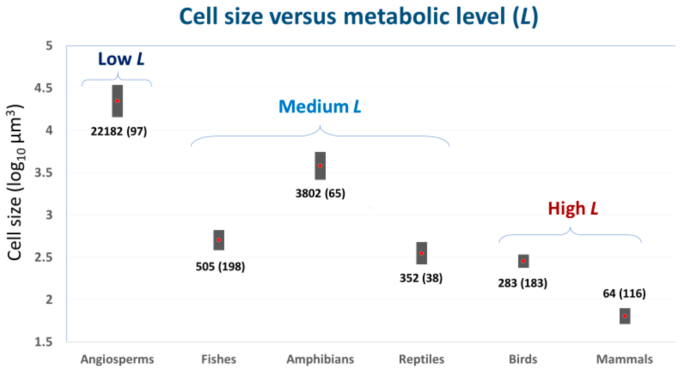 Biology 11 01106 g001