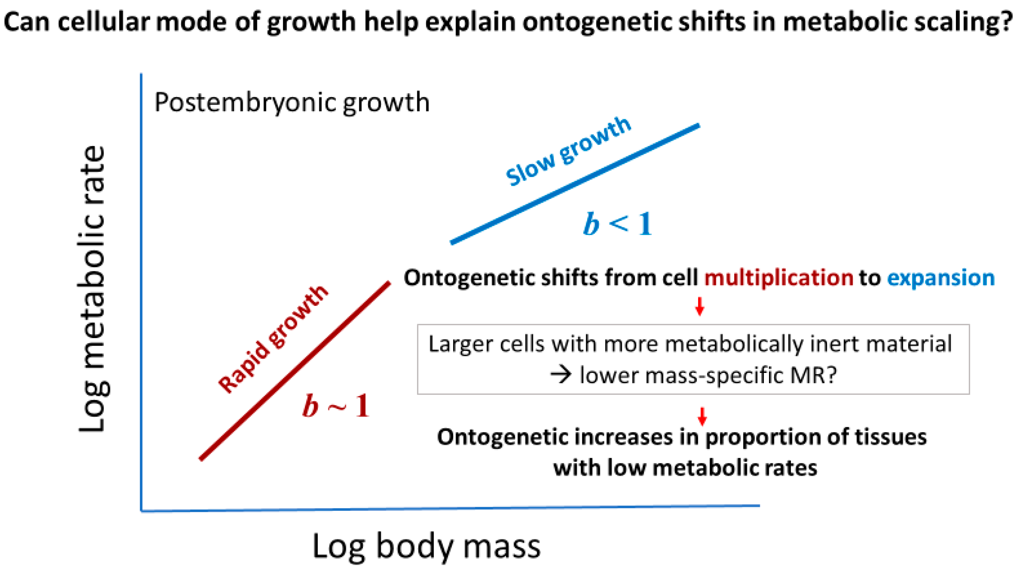 Biology 11 01106 g004