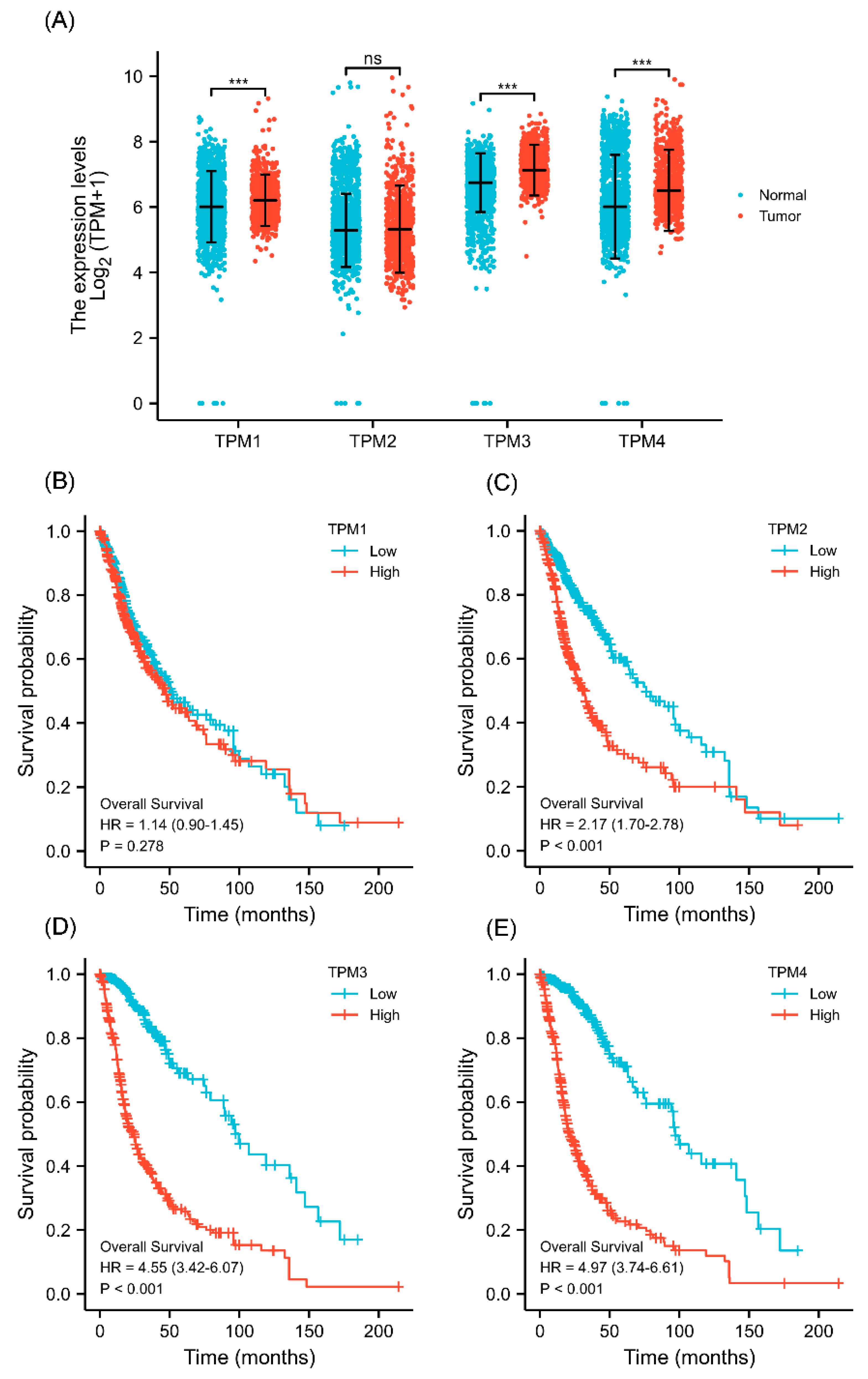 Biology 11 01115 g001
