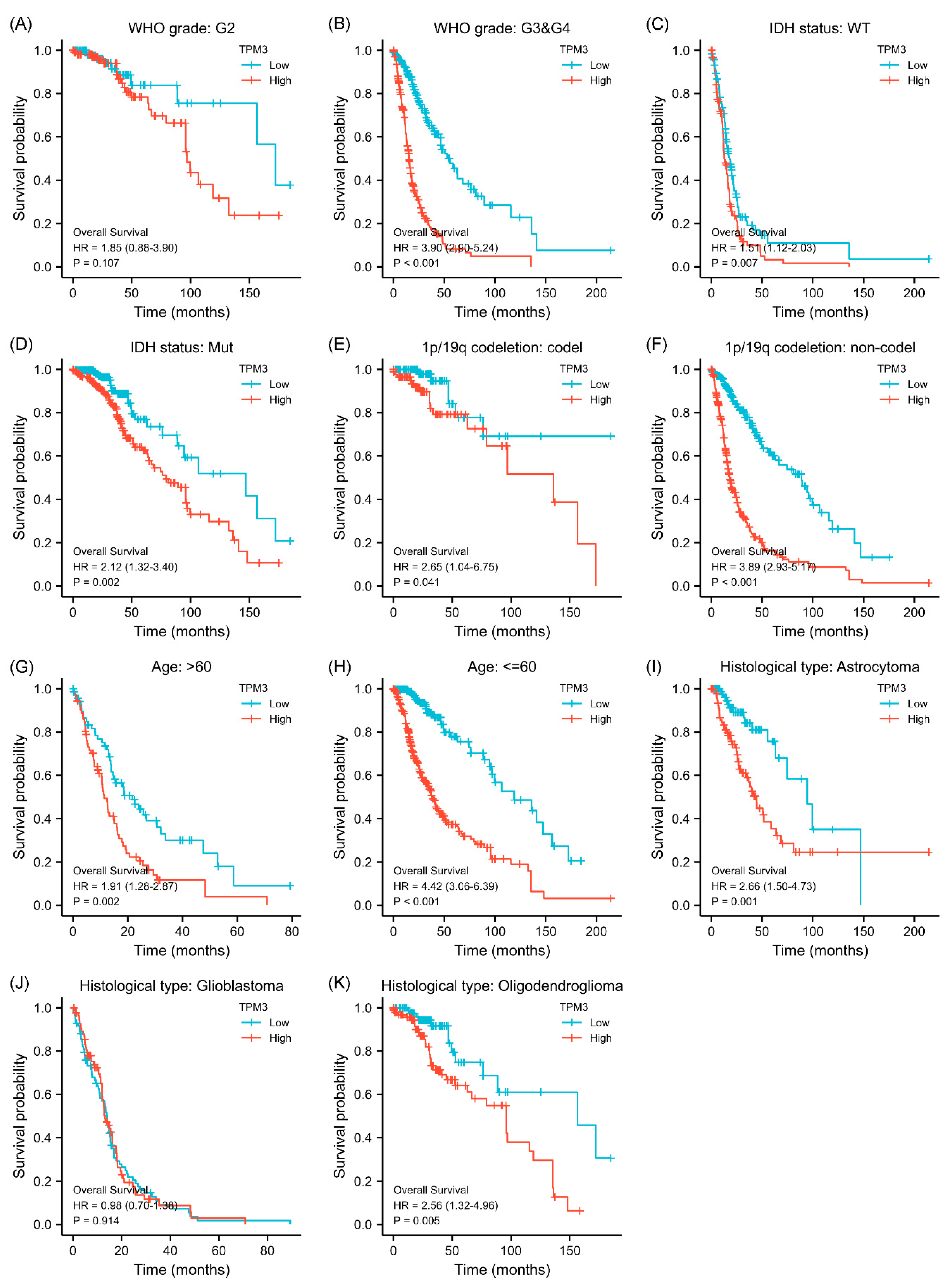 Biology 11 01115 g003