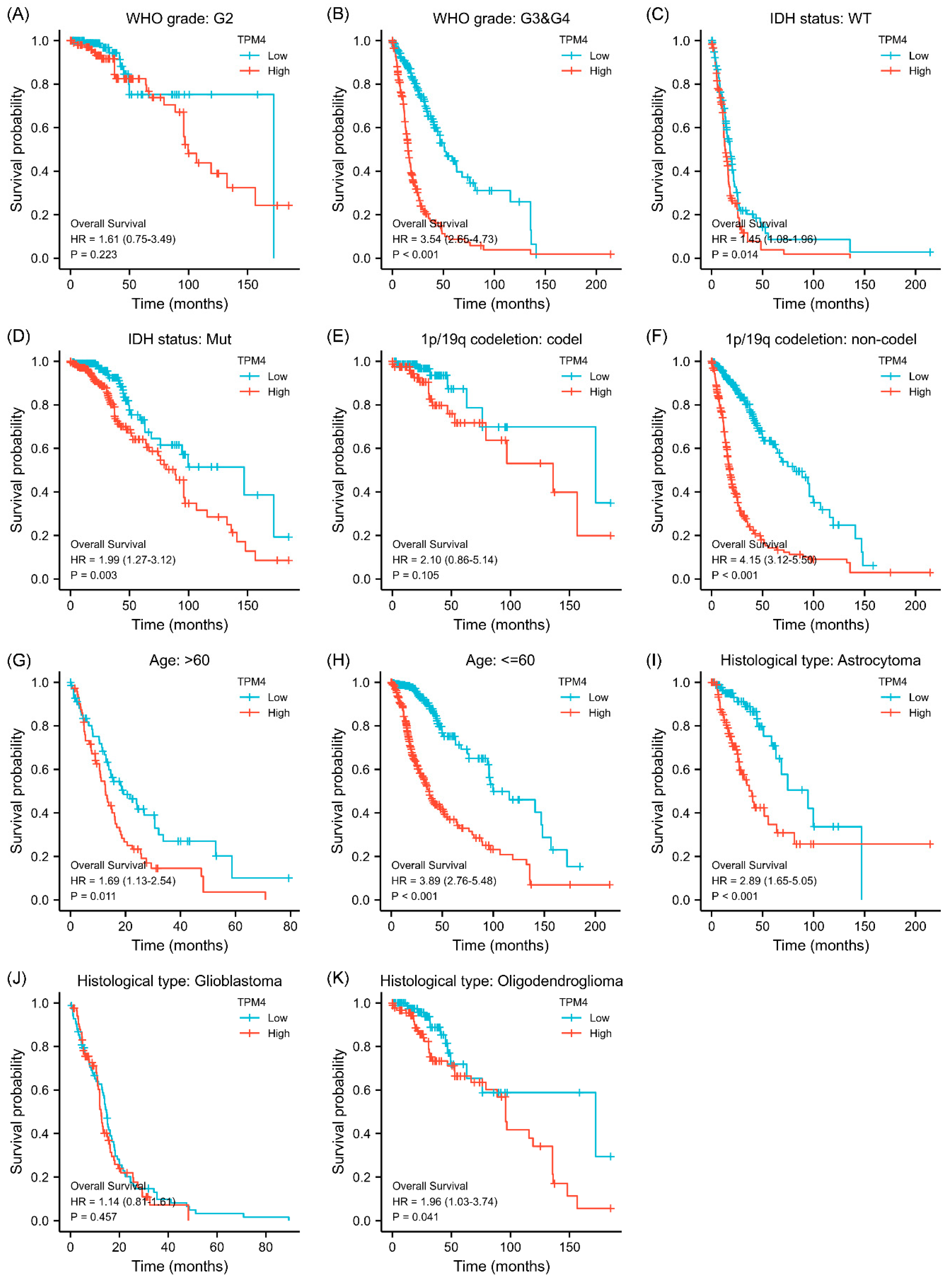 Biology 11 01115 g004