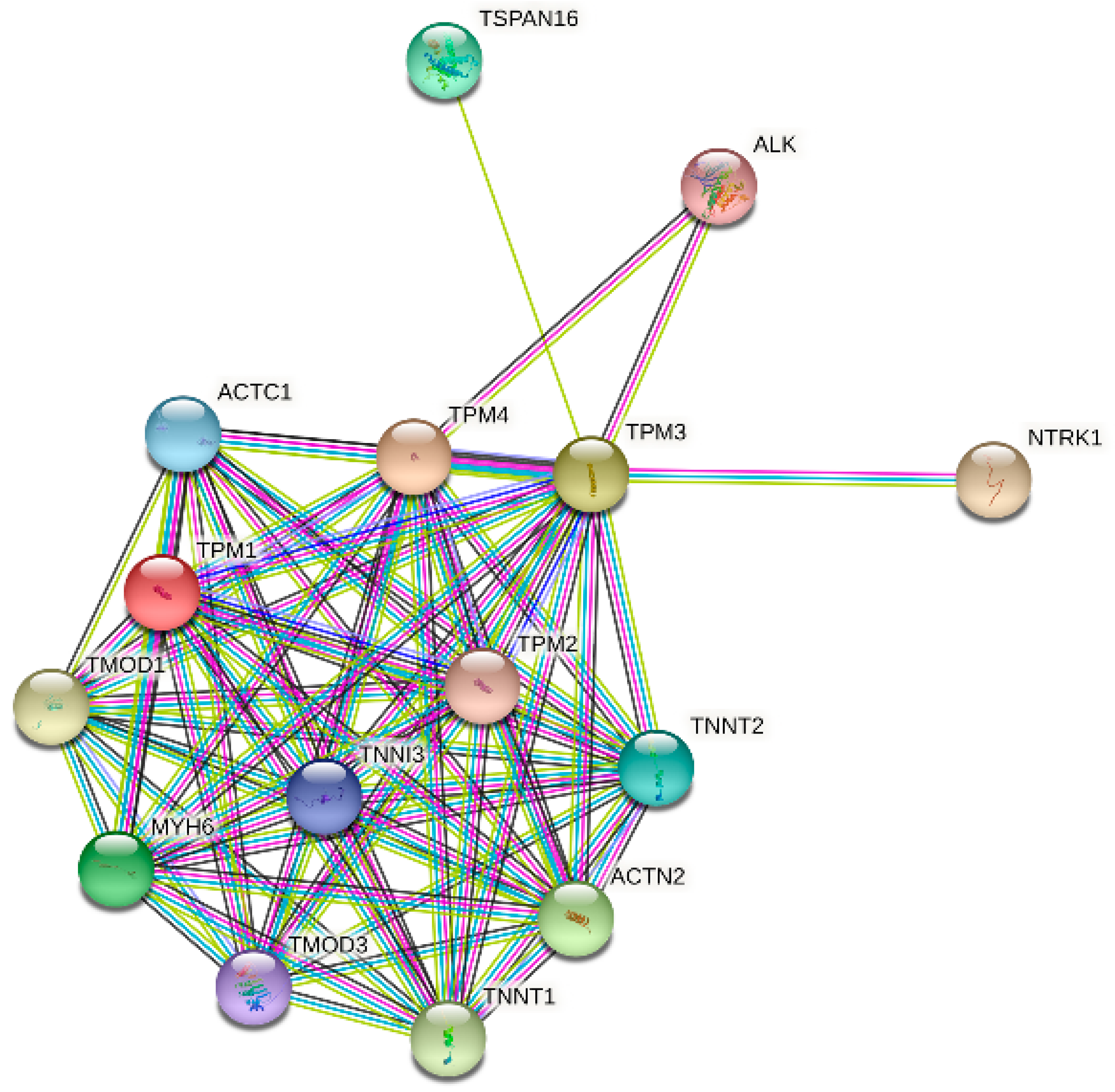 Biology 11 01115 g010