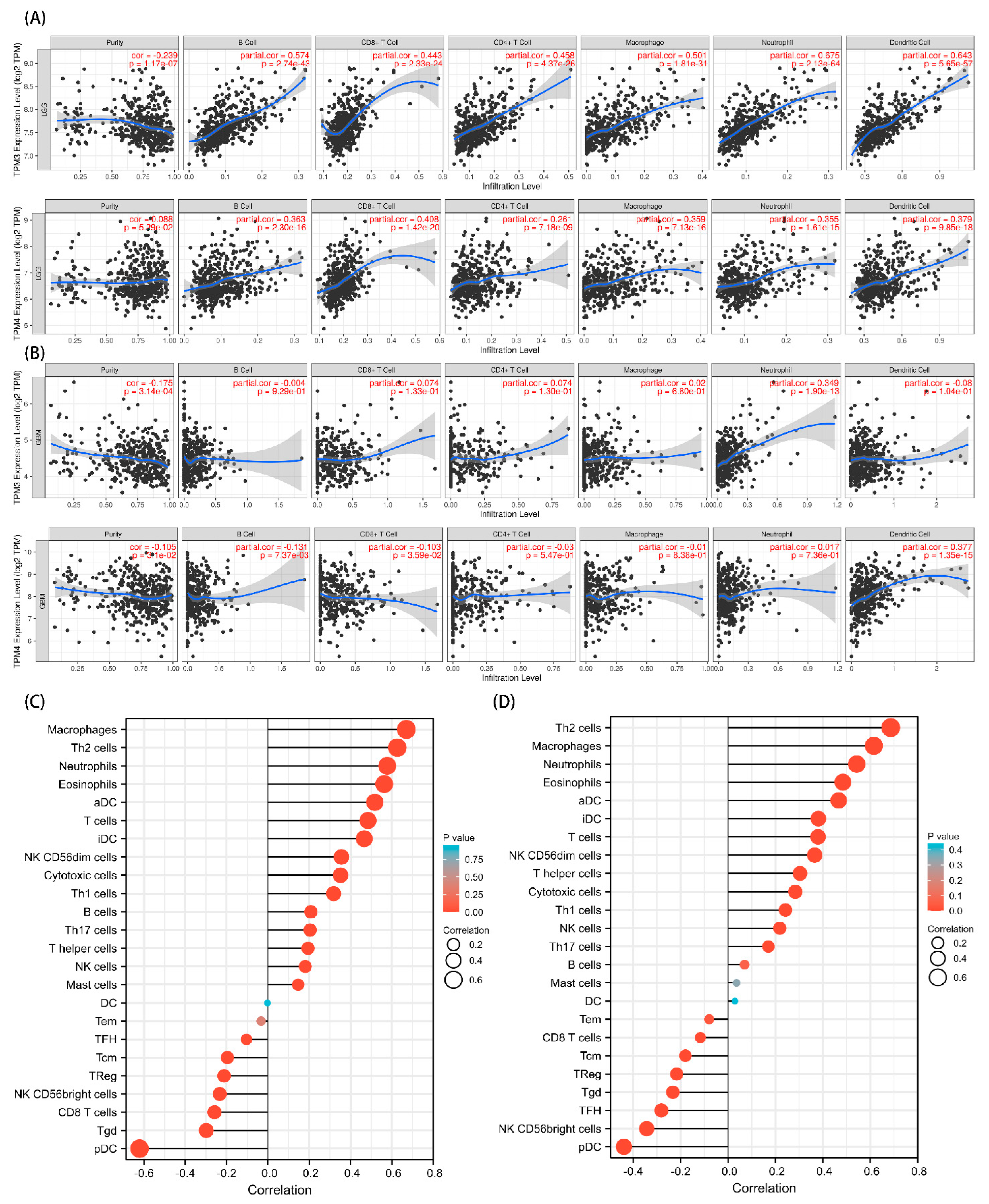 Biology 11 01115 g011