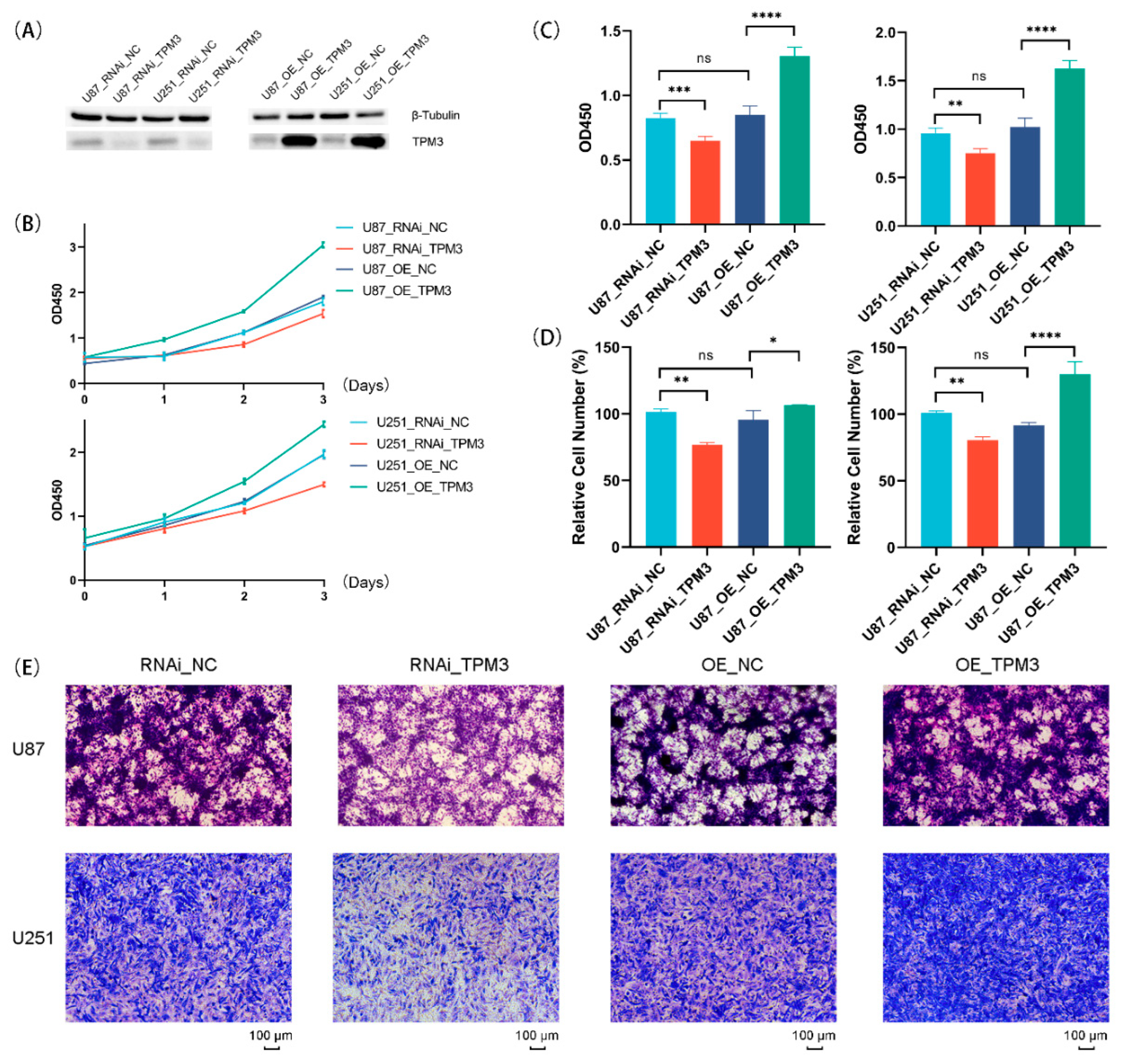 Biology 11 01115 g012