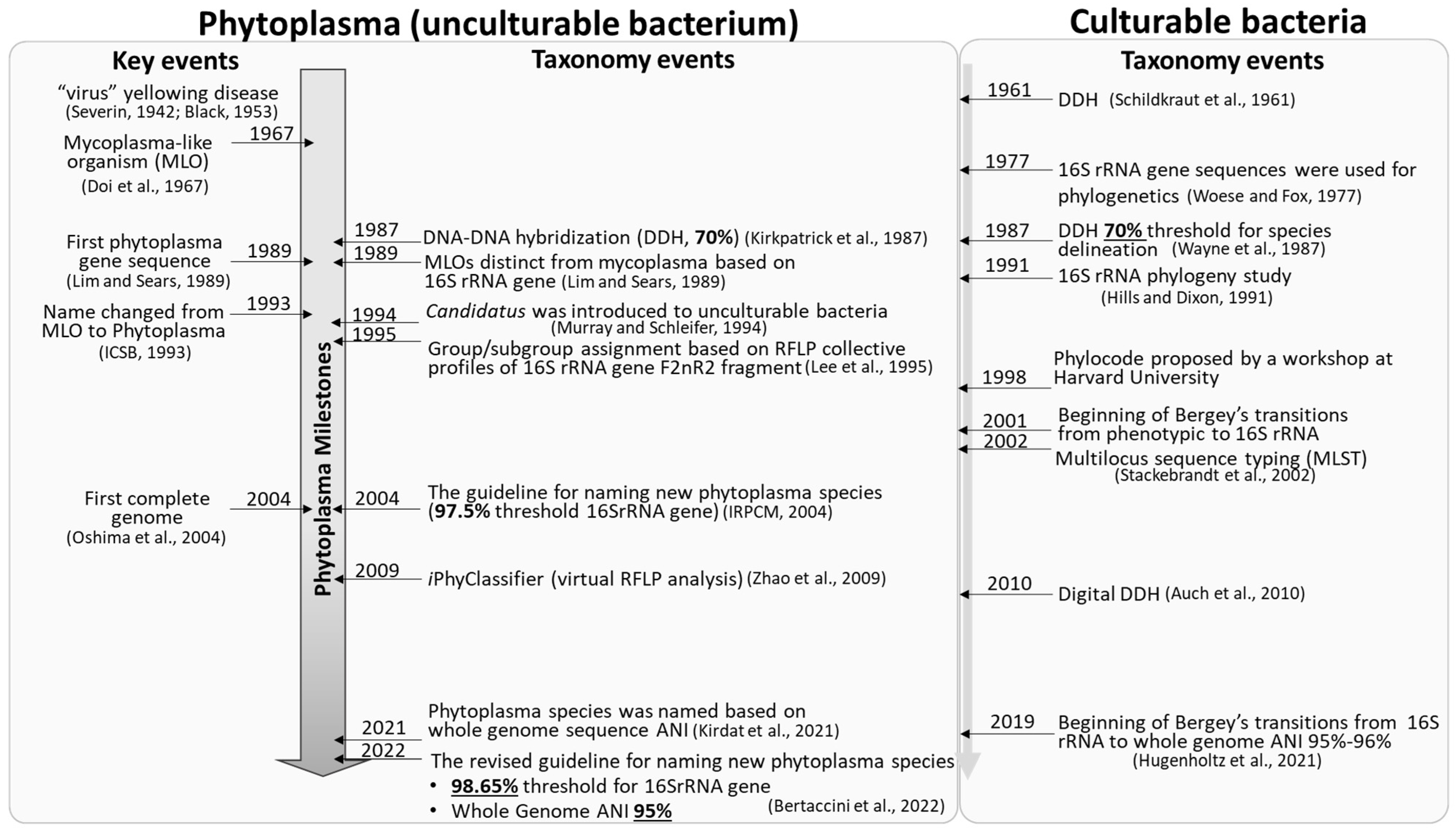 Biology 11 01119 g001